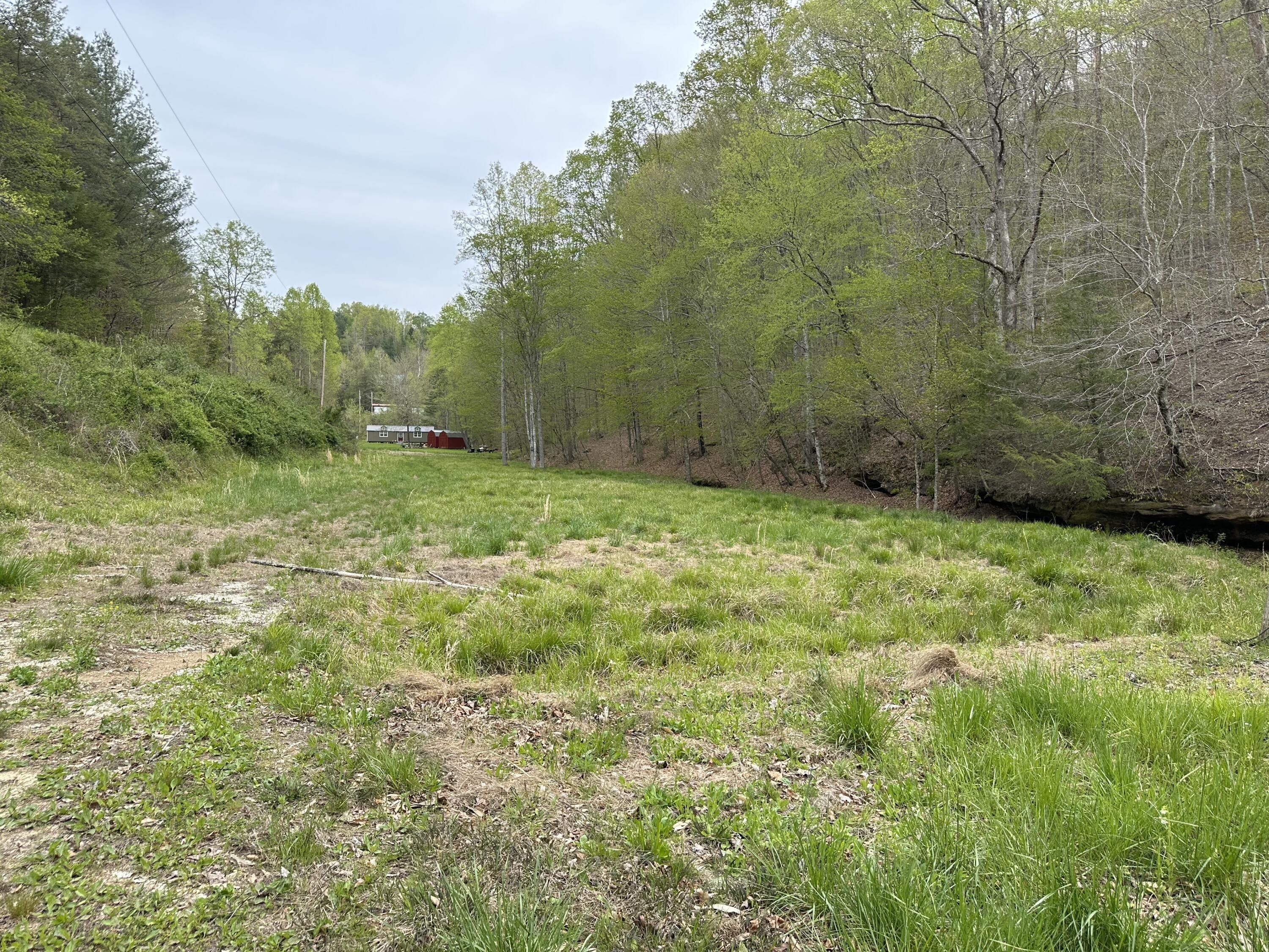 Campton, Wolfe County, KY Undeveloped Land for sale Property ID
