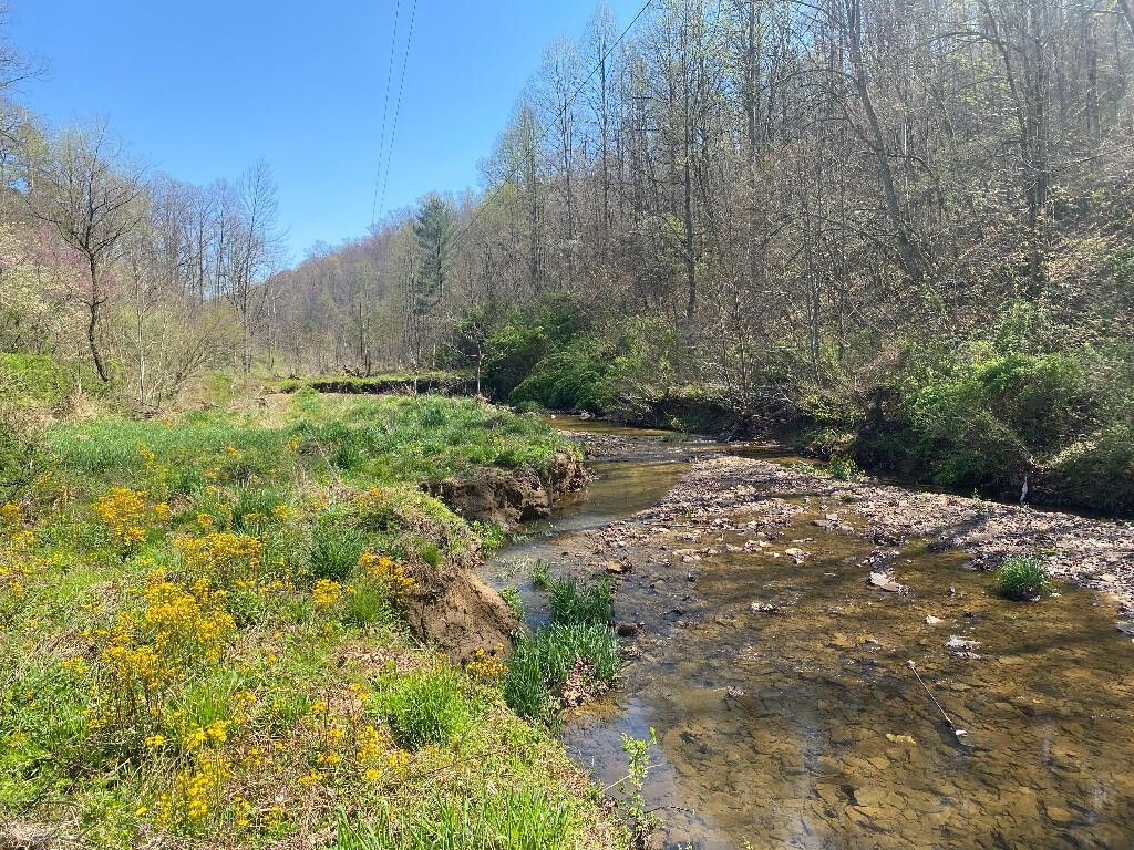 West Liberty, County, KY Undeveloped Land for sale Property ID