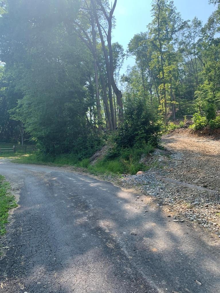 Wallingford, Fleming County, KY Undeveloped Land for sale Property ID