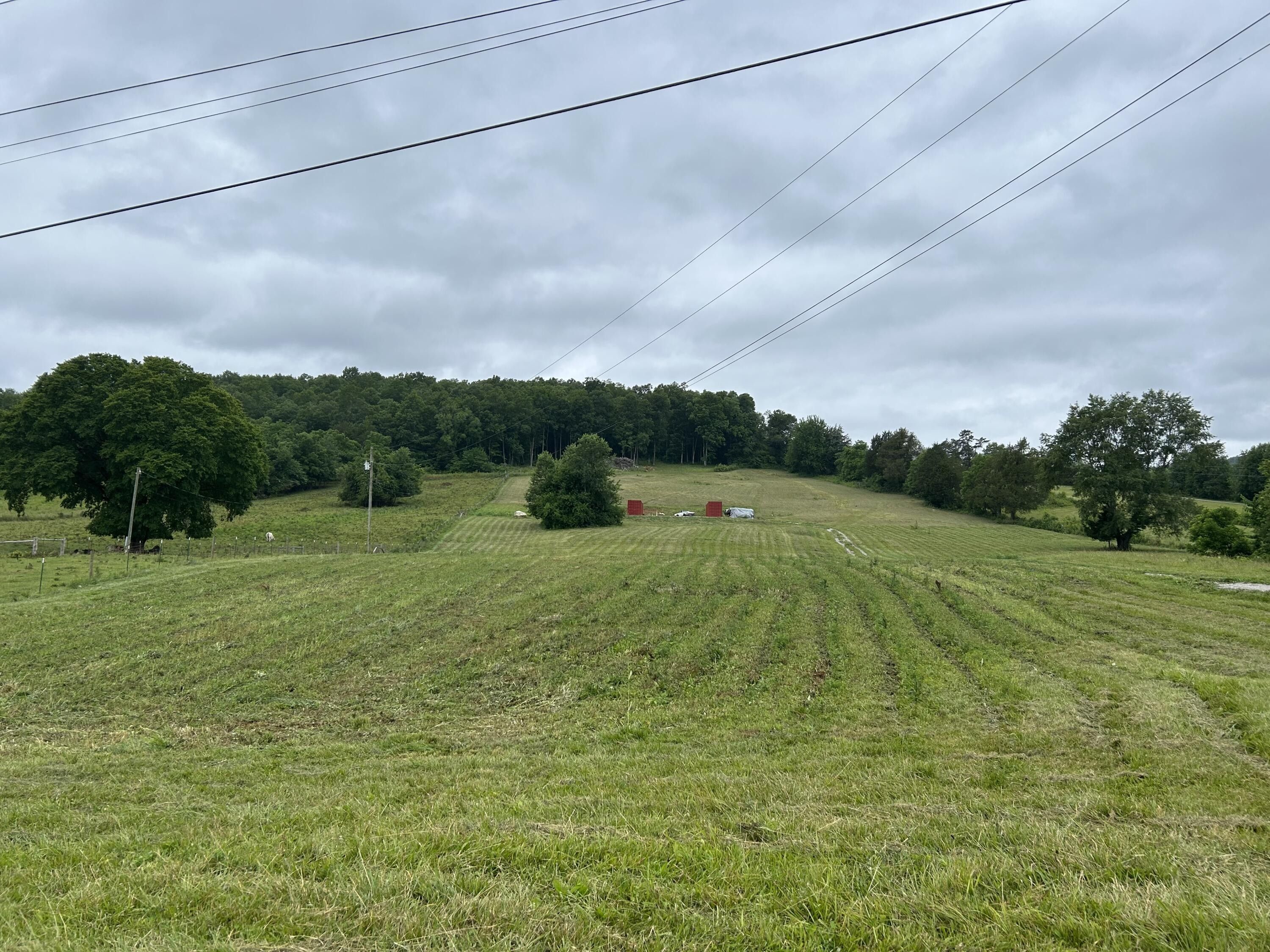 Monticello, Wayne County, KY Undeveloped Land for sale Property ID