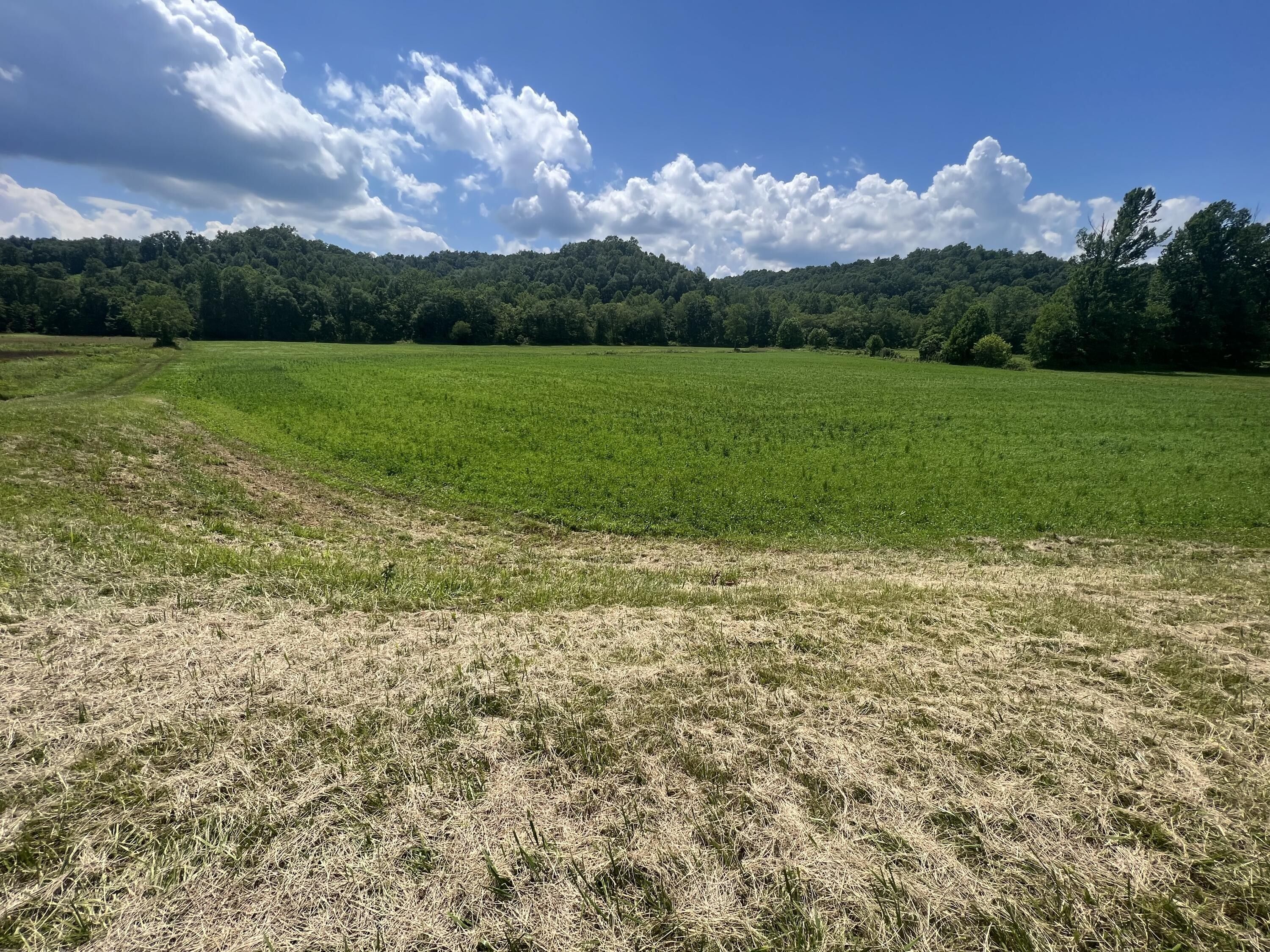 Hazel Green, Wolfe County, KY Farms and Ranches for sale Property ID