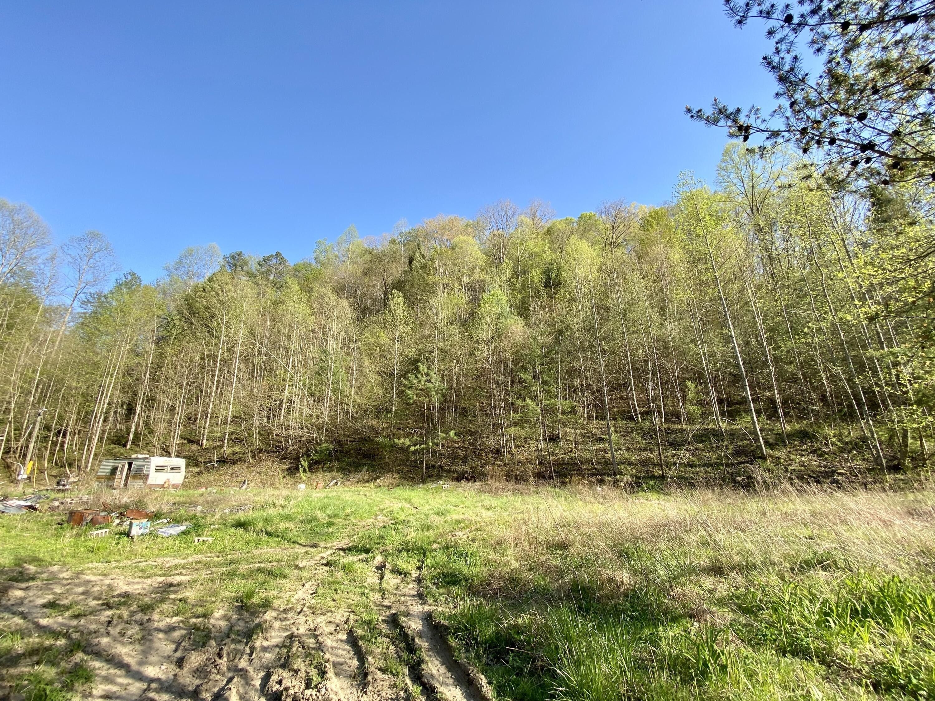 Tomahawk, Martin County, KY Undeveloped Land for sale Property ID
