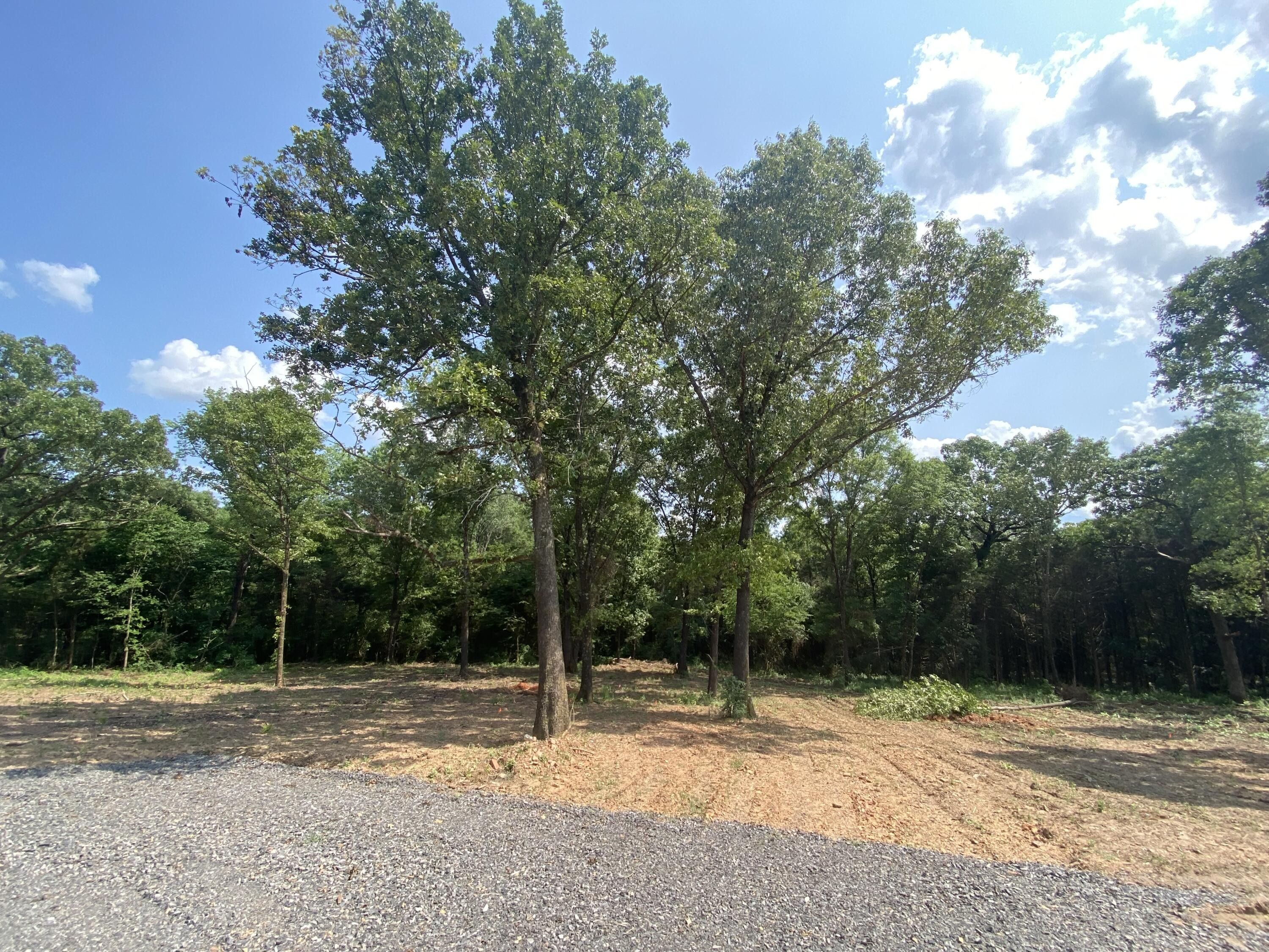 Dardanelle, Yell County, AR Farms and Ranches, Homesites for sale