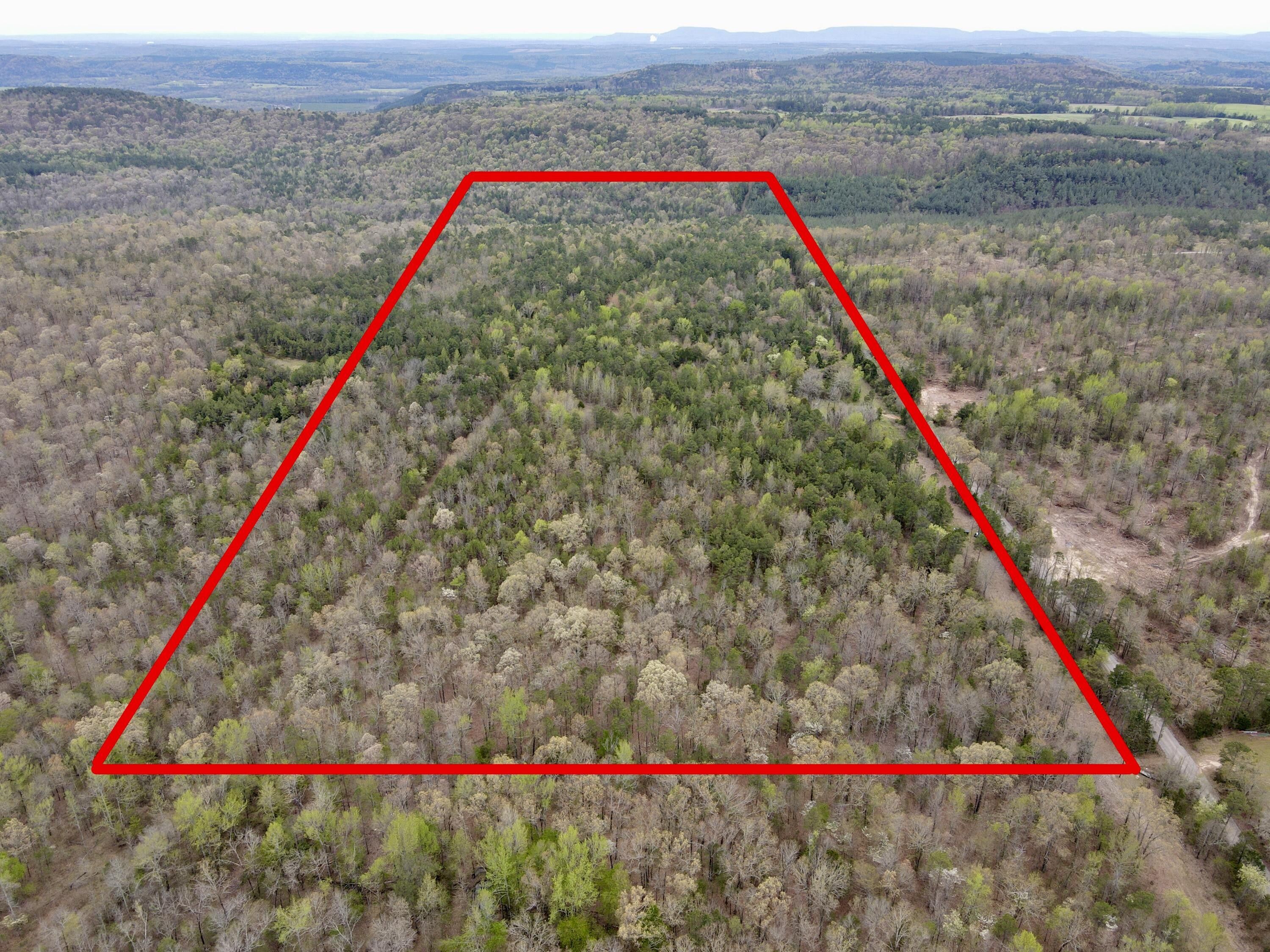 Dover, Pope County, AR Undeveloped Land for sale Property ID 414548733