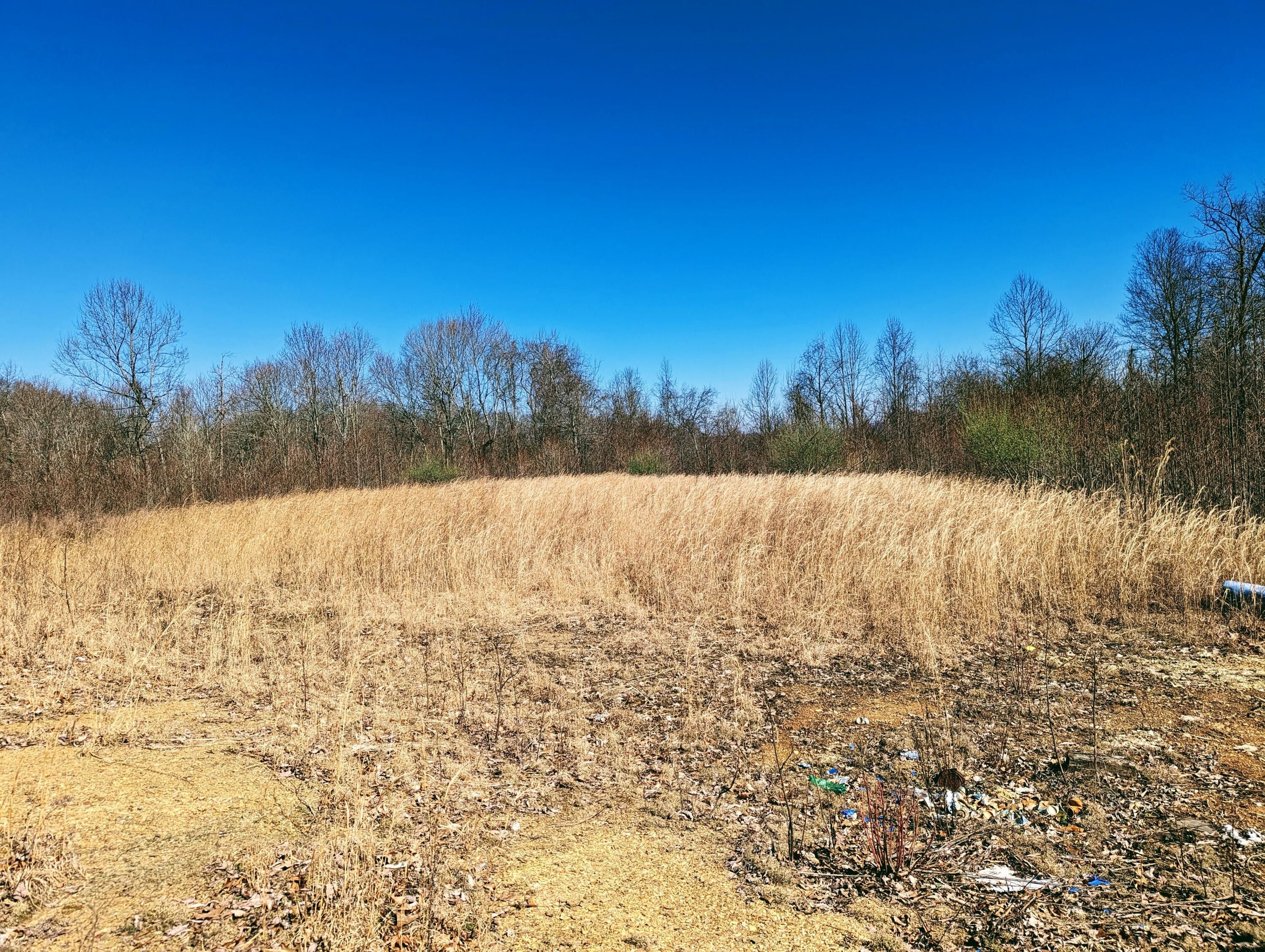 Haysi, Dickenson County, VA Undeveloped Land for sale Property ID