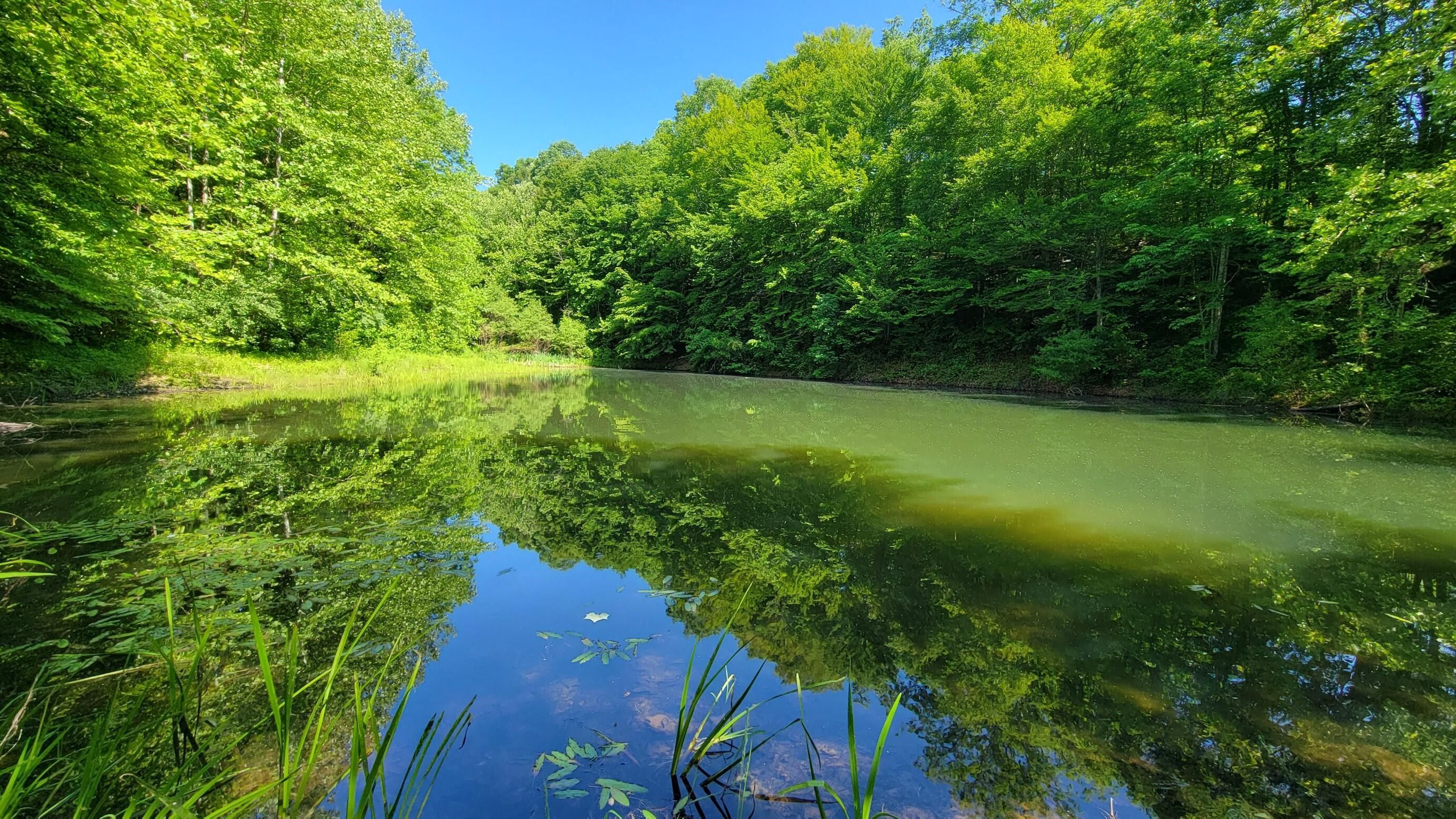 Barbourville, Knox County, KY Farms and Ranches for sale Property ID