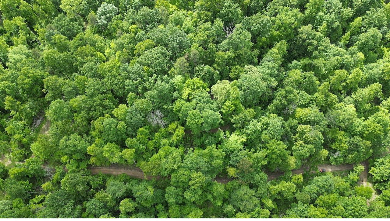 Stanton, Powell County, KY Farms and Ranches, Homesites for sale