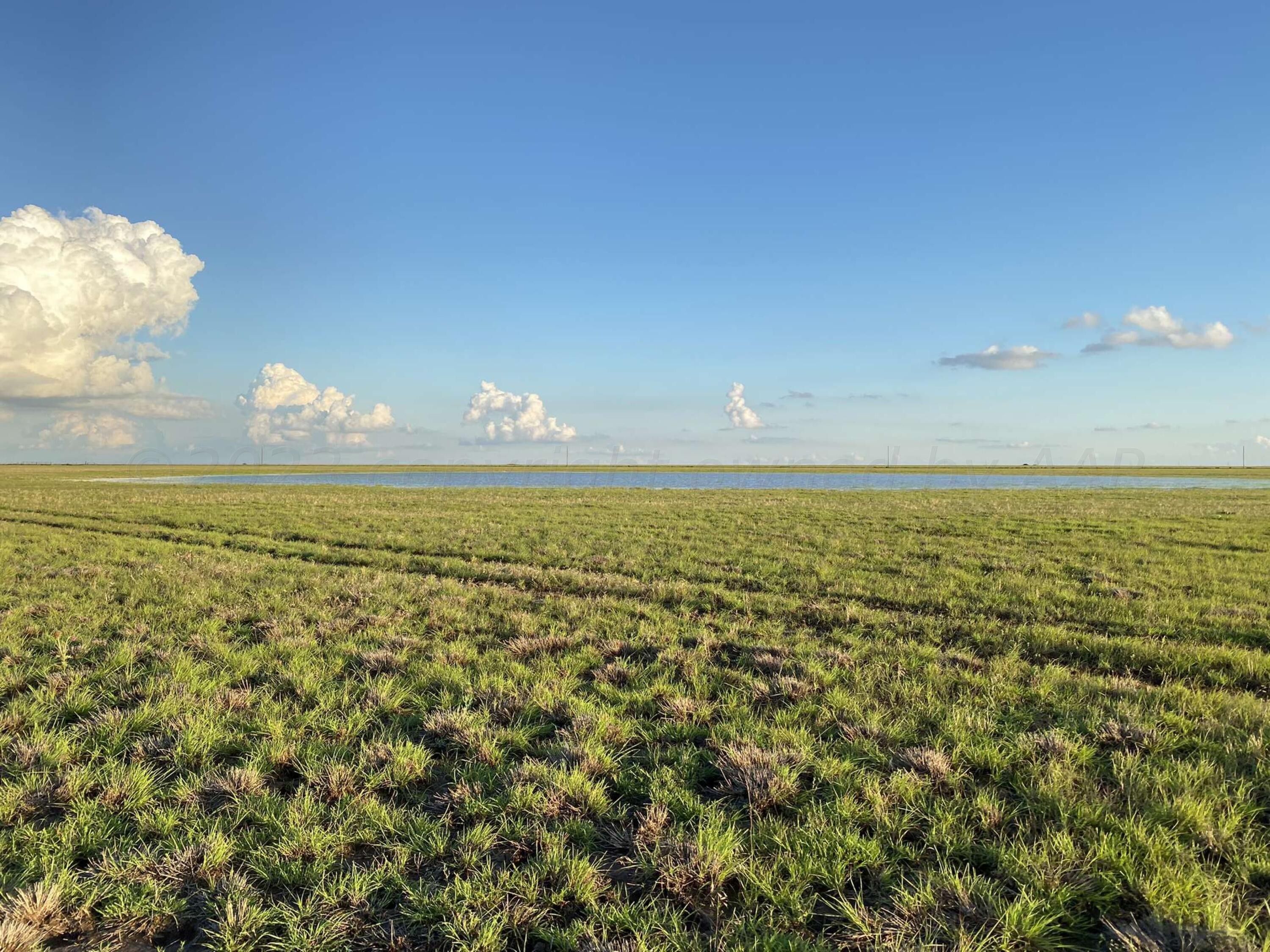 Tulia, Swisher County, TX Farms and Ranches for sale Property ID