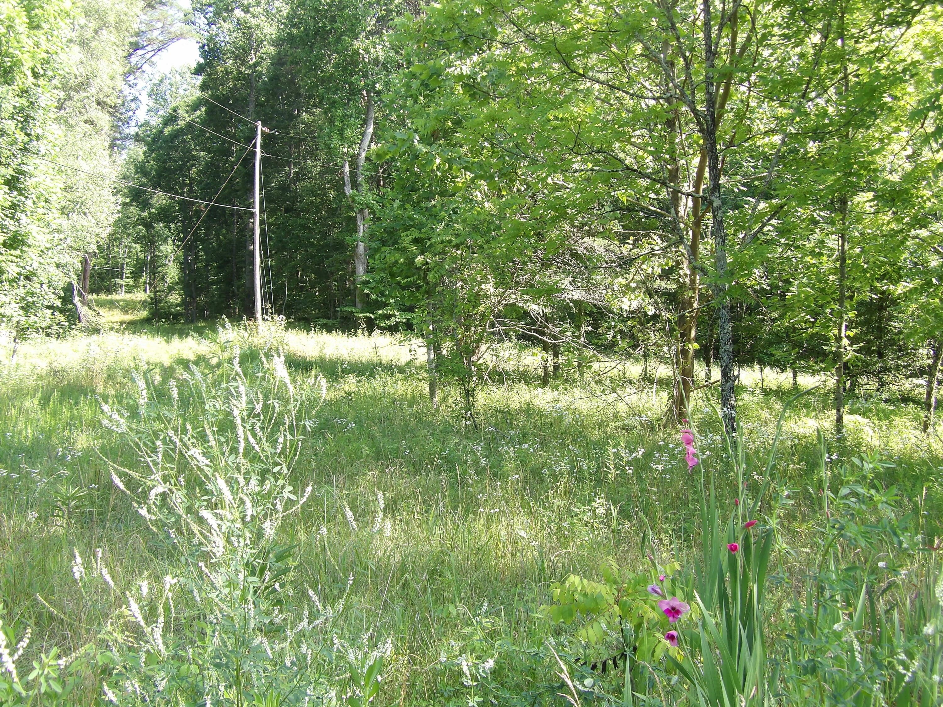 Pikeville, Bledsoe County, TN Farms and Ranches for sale Property ID