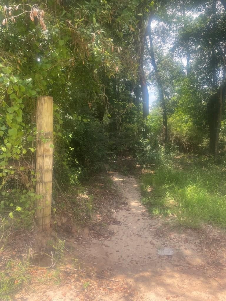 Pearson, Atkinson County, GA Undeveloped Land for sale Property ID