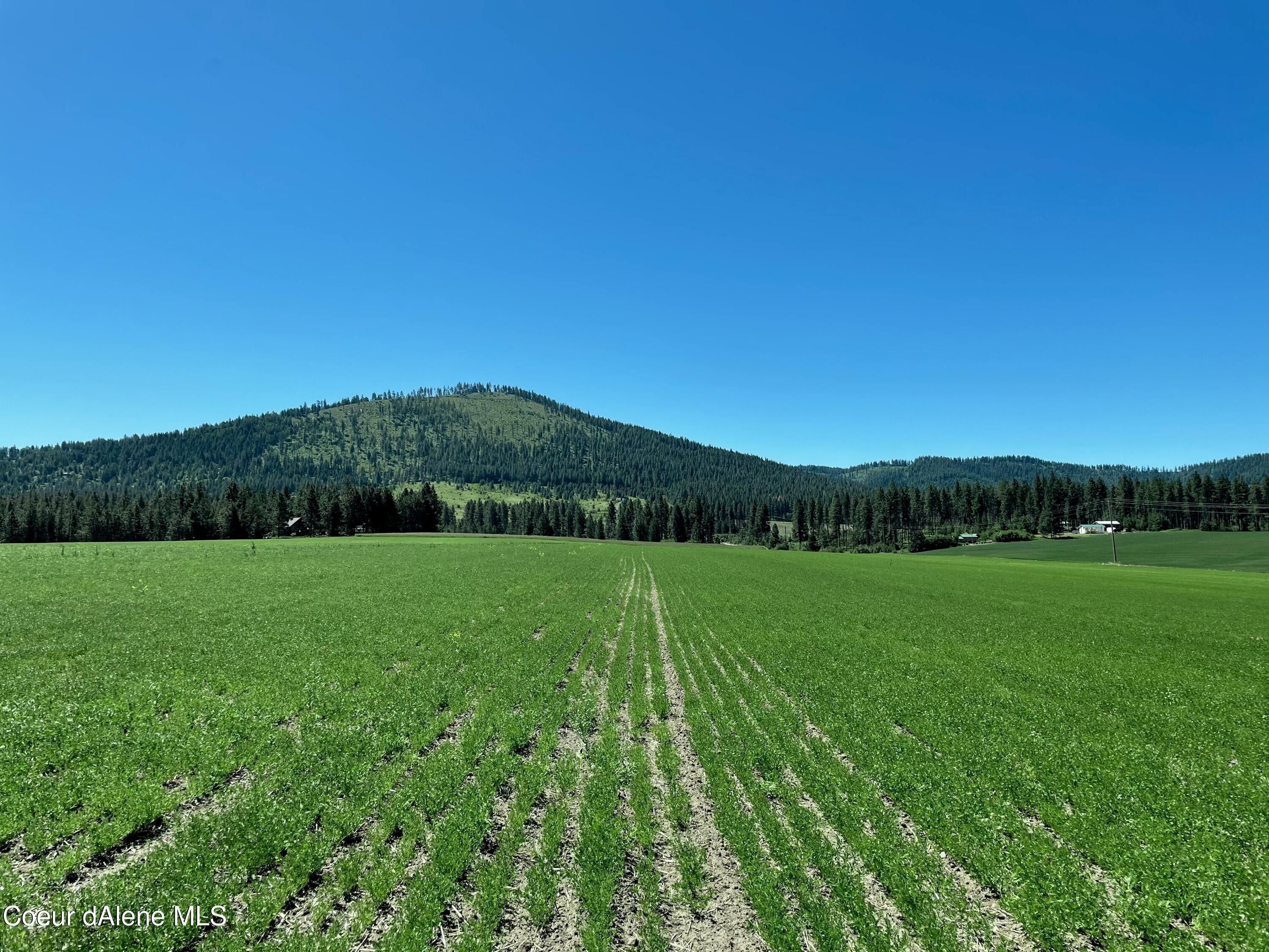 Desmet, Benewah County, ID Undeveloped Land for sale Property ID