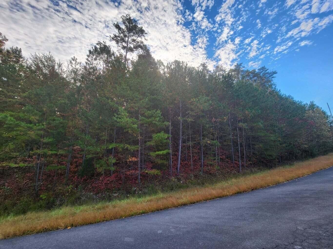 Summerville, Chattooga County, GA Undeveloped Land, Homesites for sale