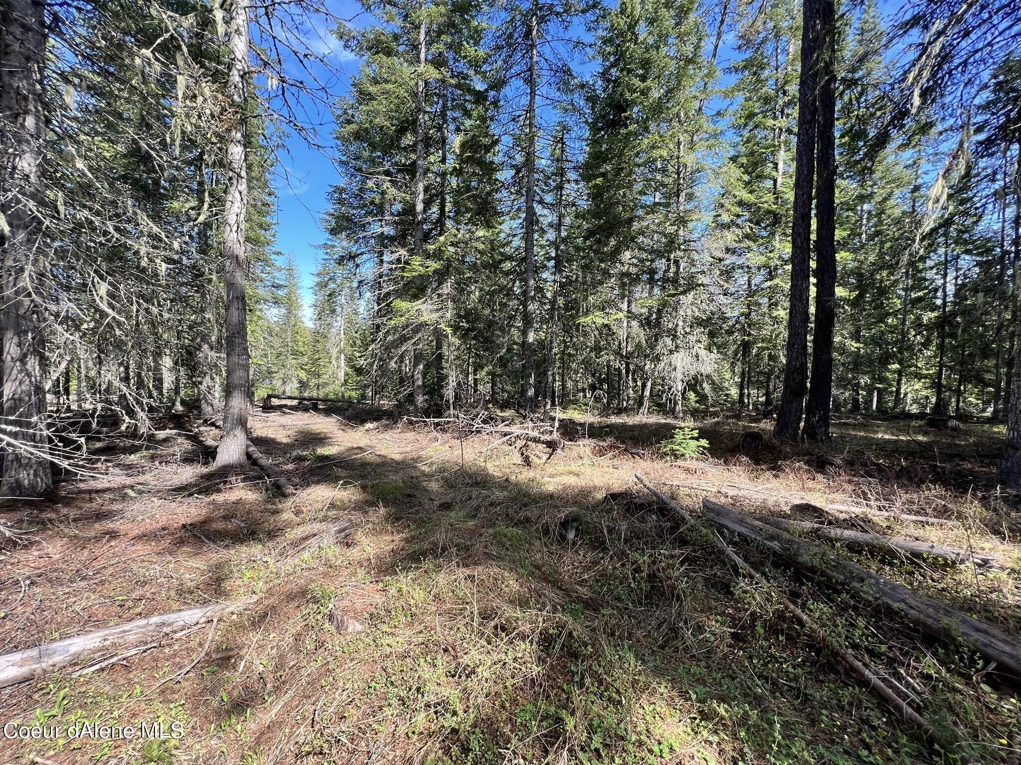 St Maries, Benewah County, ID Undeveloped Land for sale Property ID