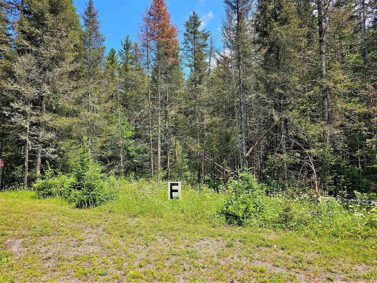 Mercer, Iron County, WI Undeveloped Land for sale Property ID