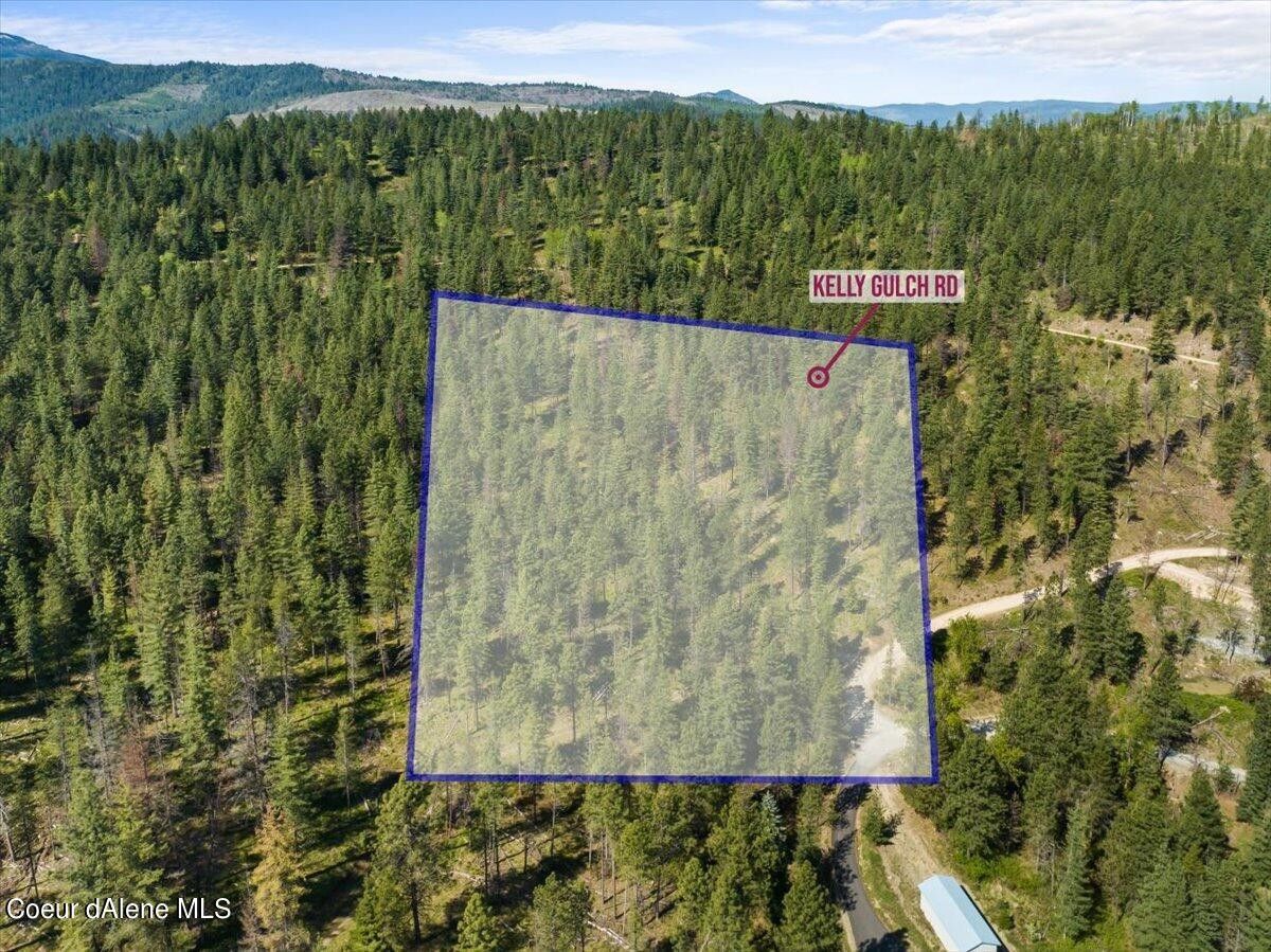 Pinehurst, Shoshone County, ID Undeveloped Land, Homesites for sale