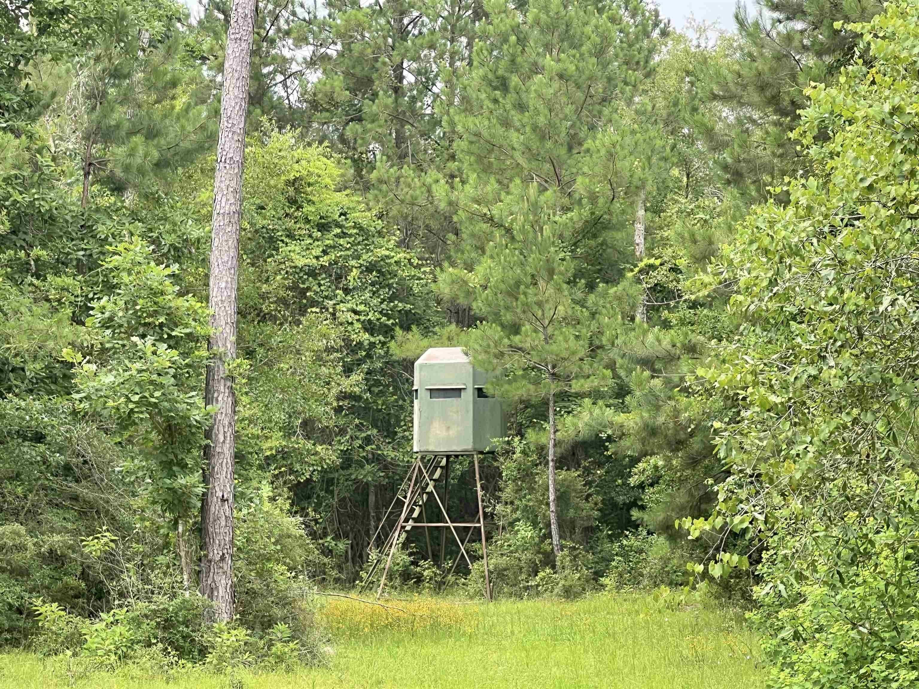 Newton, Newton County, TX Farms and Ranches for sale Property ID 416860145 LandWatch