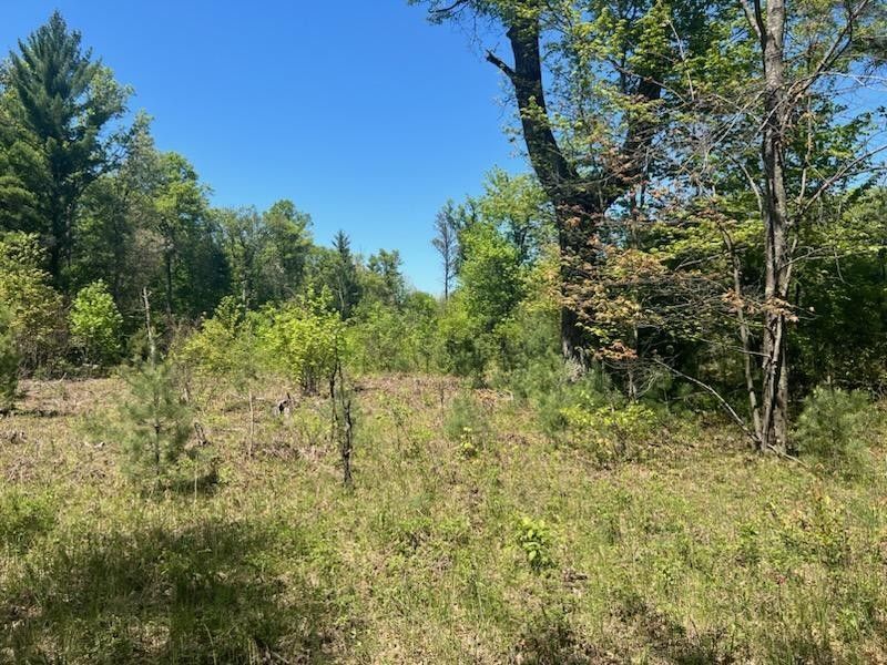 Idlewild, Lake County, MI Undeveloped Land, Homesites for sale Property