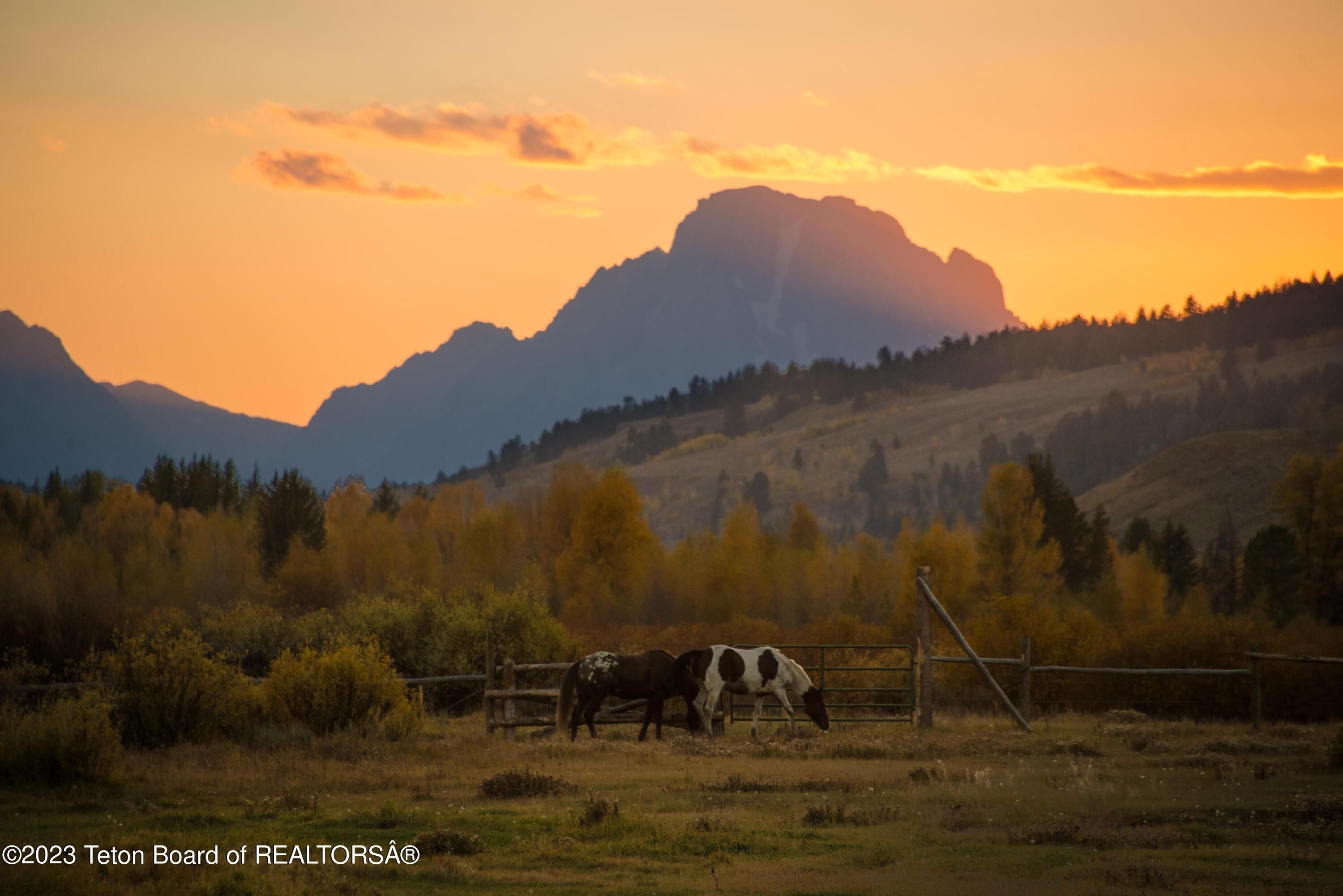 Moran, Teton County, WY Commercial Property, House for sale Property ID