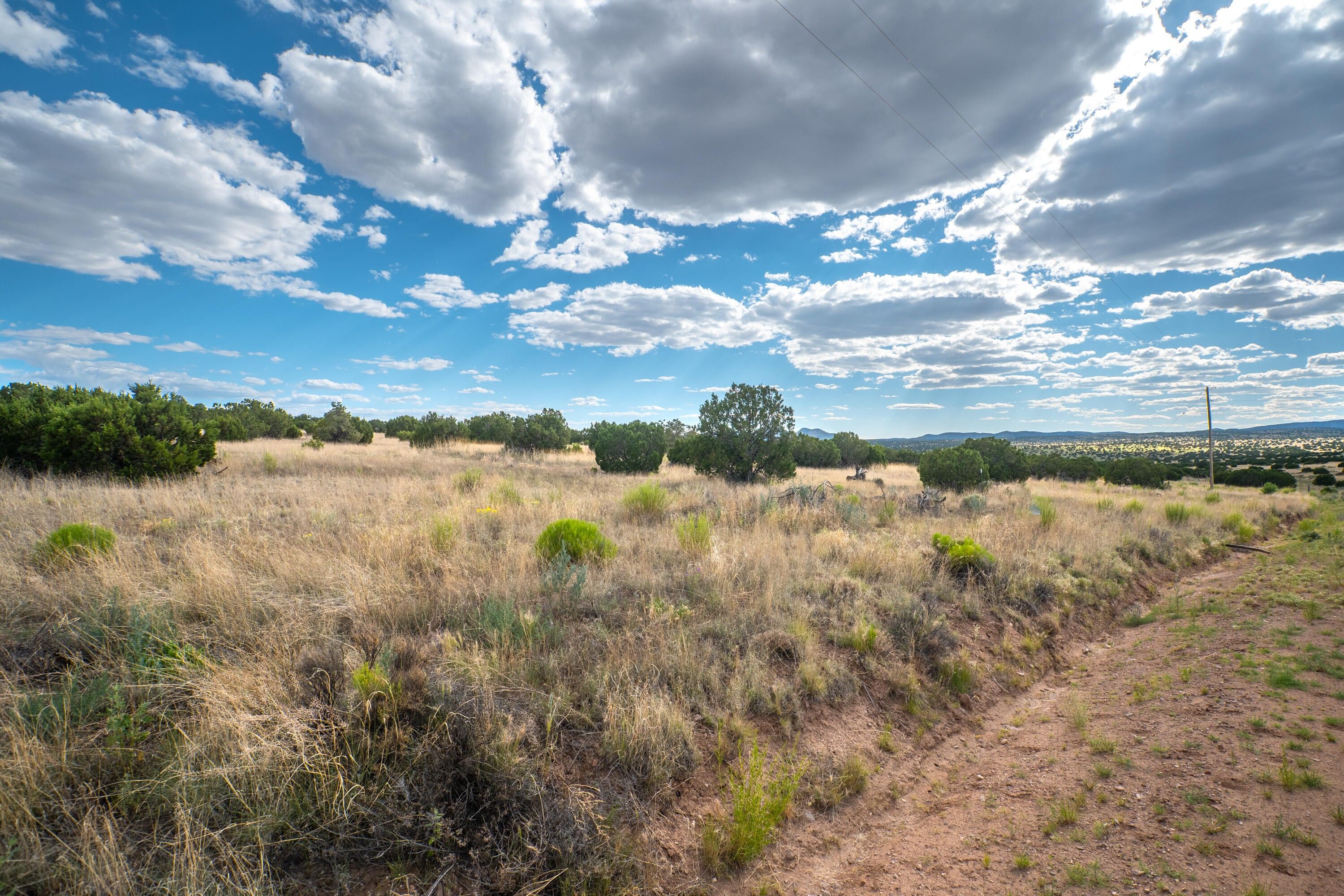 Magdalena, Socorro County, NM Undeveloped Land for sale Property ID