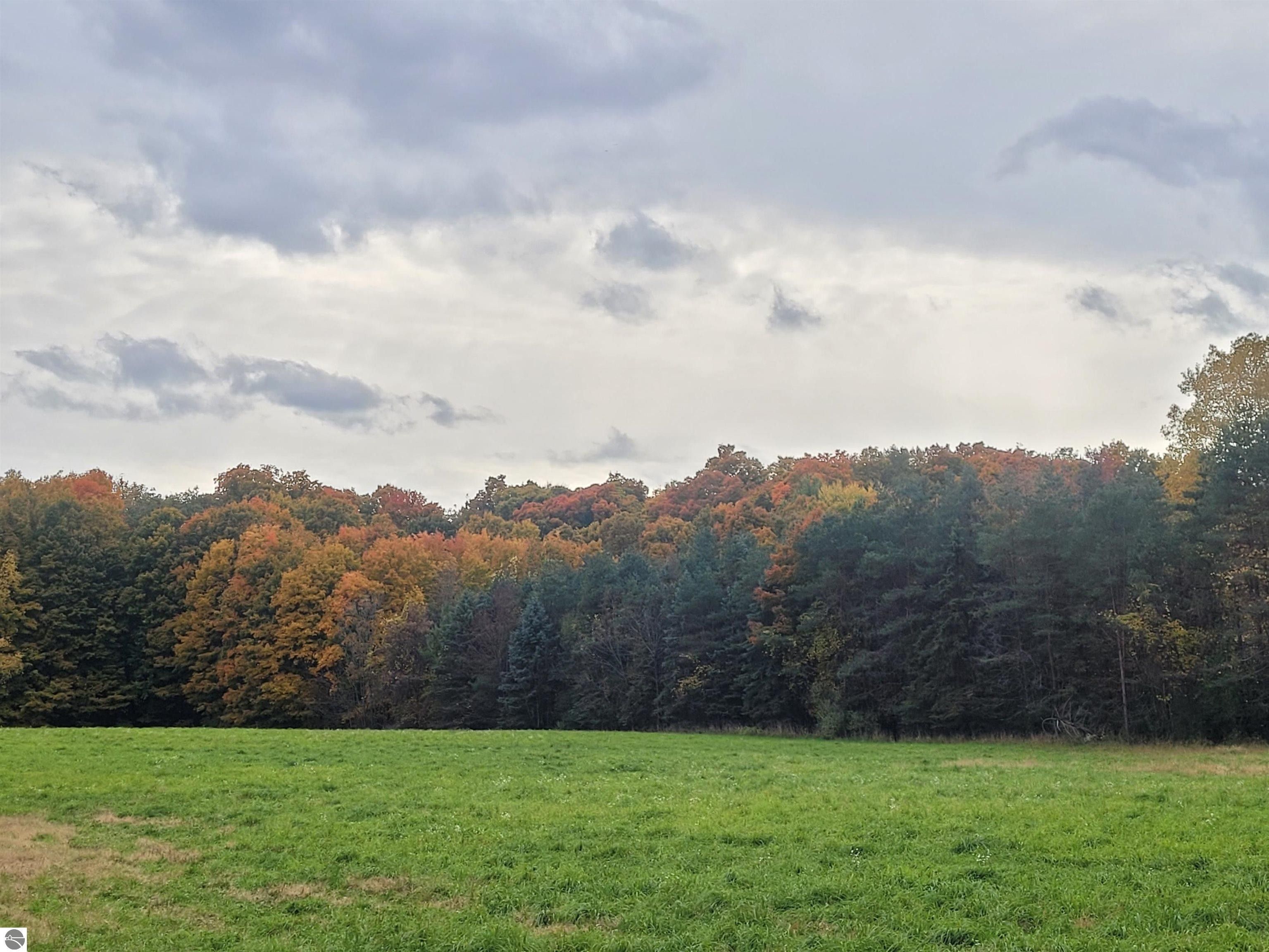 Mt Pleasant, Isabella County, MI Undeveloped Land for sale Property ID