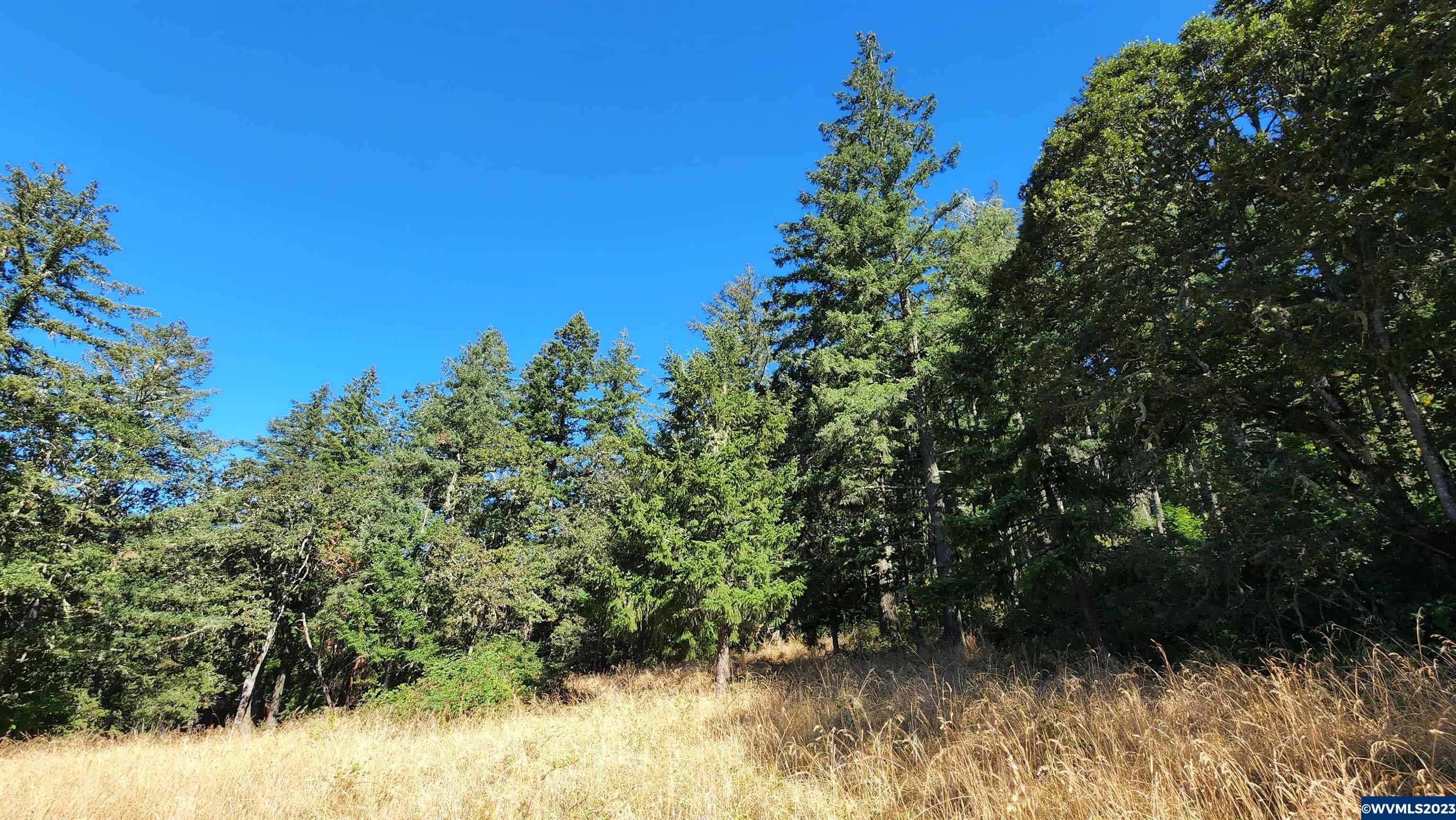 Brownsville, Linn County, OR Undeveloped Land, Homesites for sale