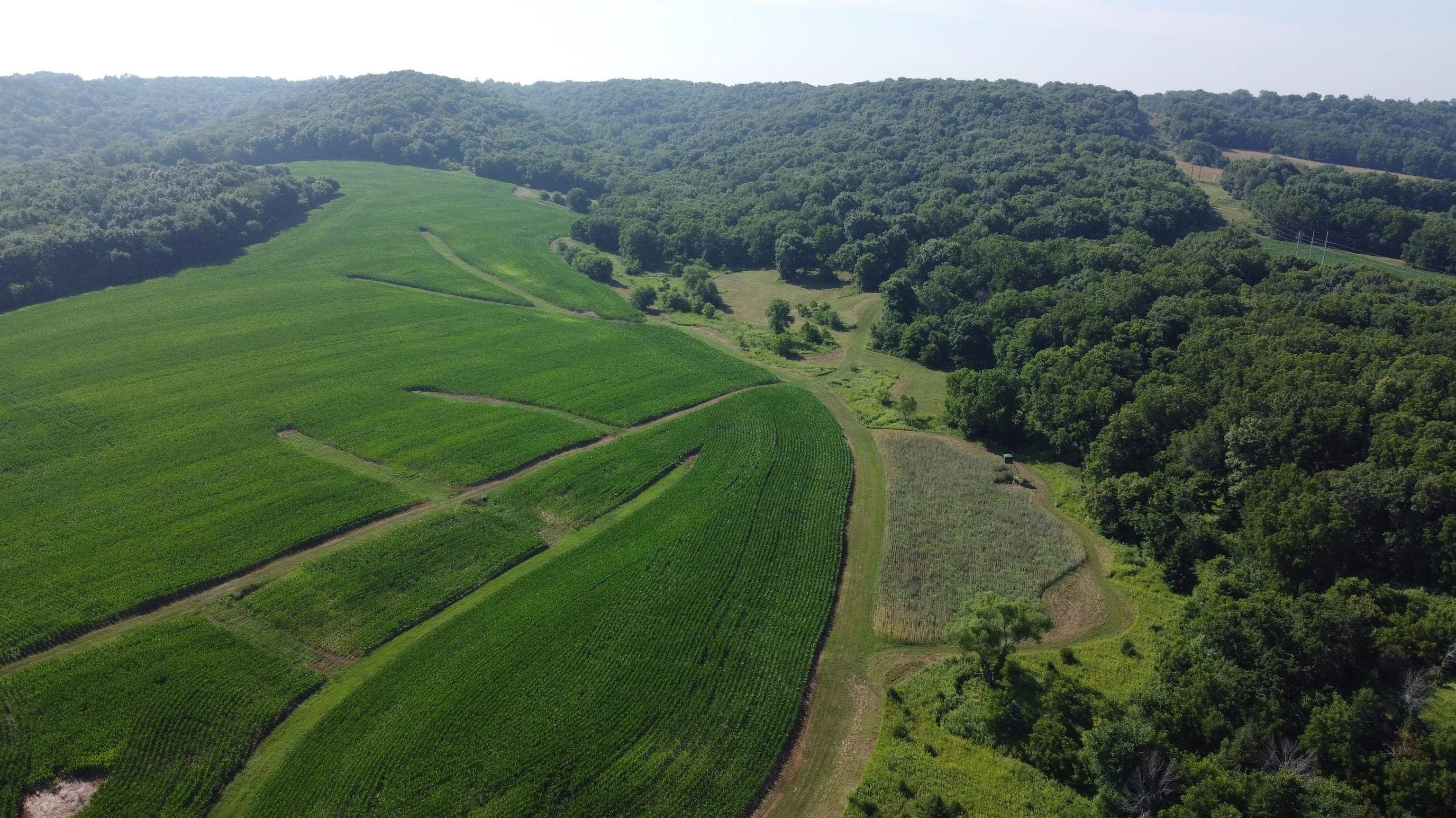 Hanover, Jo Daviess County, IL Farms and Ranches, House for sale