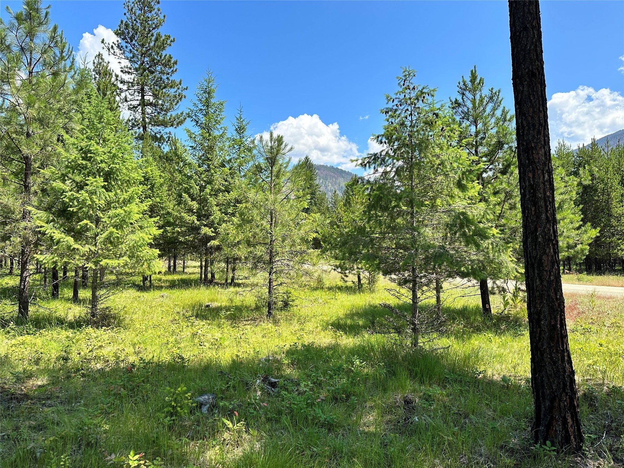 Thompson Falls, Sanders County, MT Undeveloped Land, Homesites for sale
