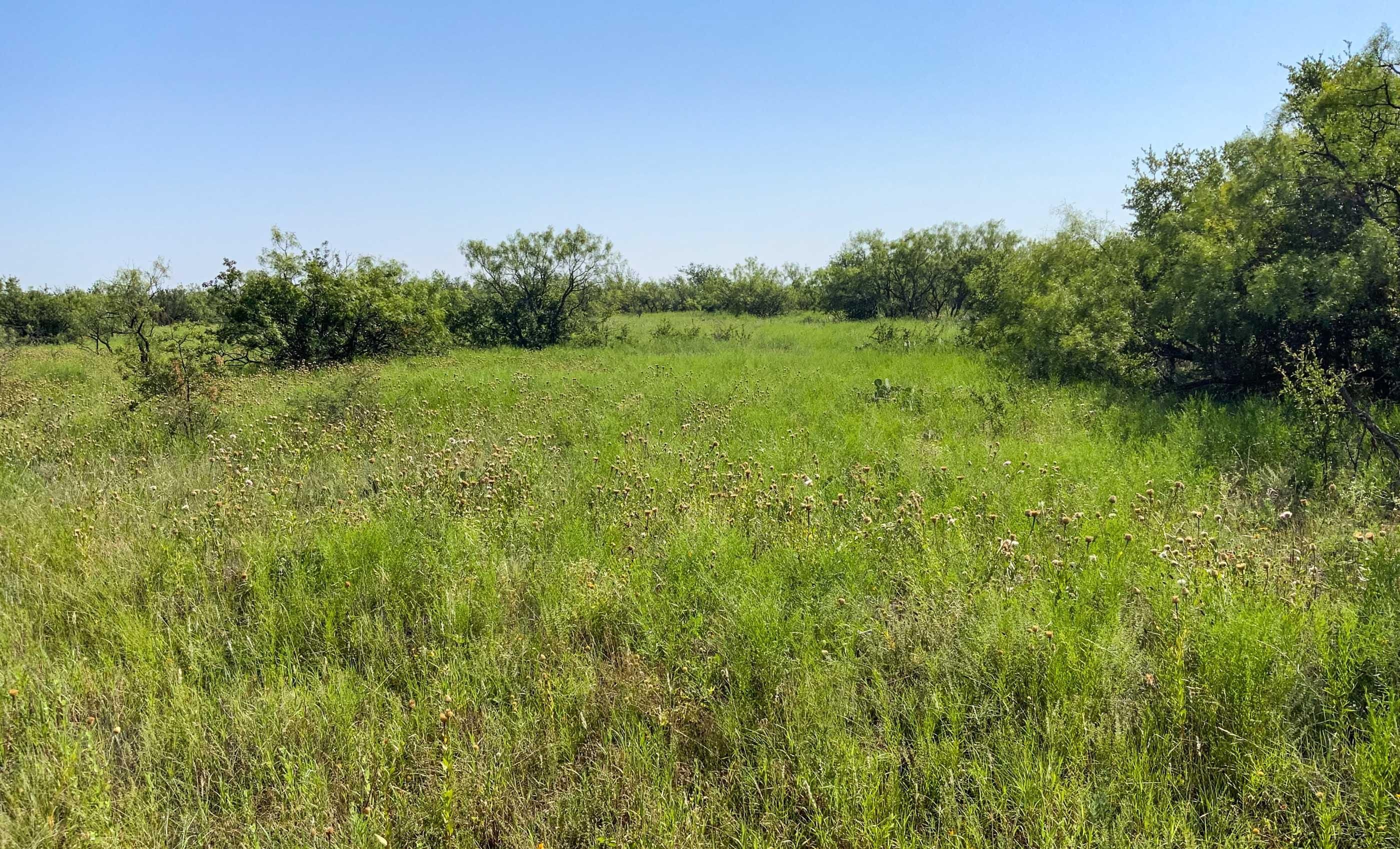 4,000 acres in Abilene, TX, 79504 LandWatch