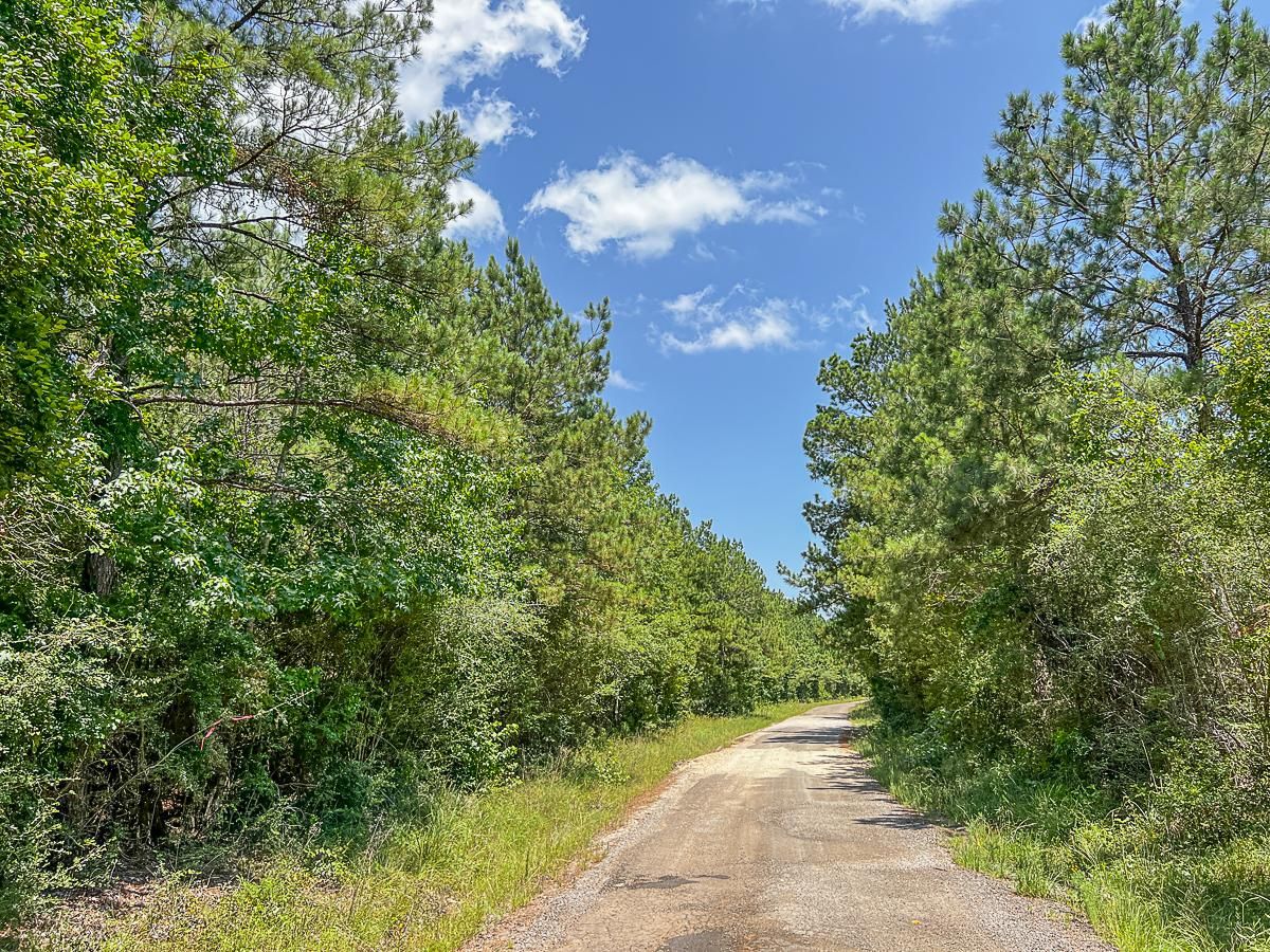 Zavalla, Angelina County, TX Timberland Property, Hunting Property for