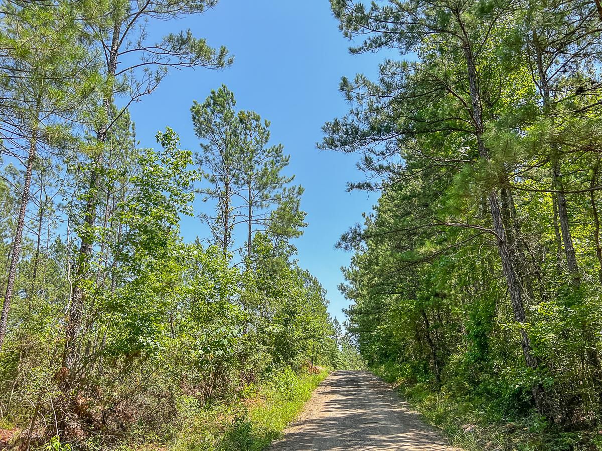 Zavalla, Angelina County, TX Timberland Property, Hunting Property for