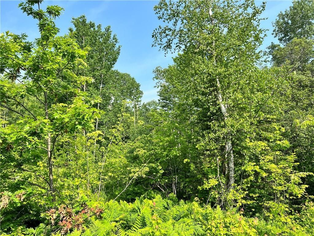 Lake Nebagamon, Douglas County, WI Farms and Ranches, Lakefront