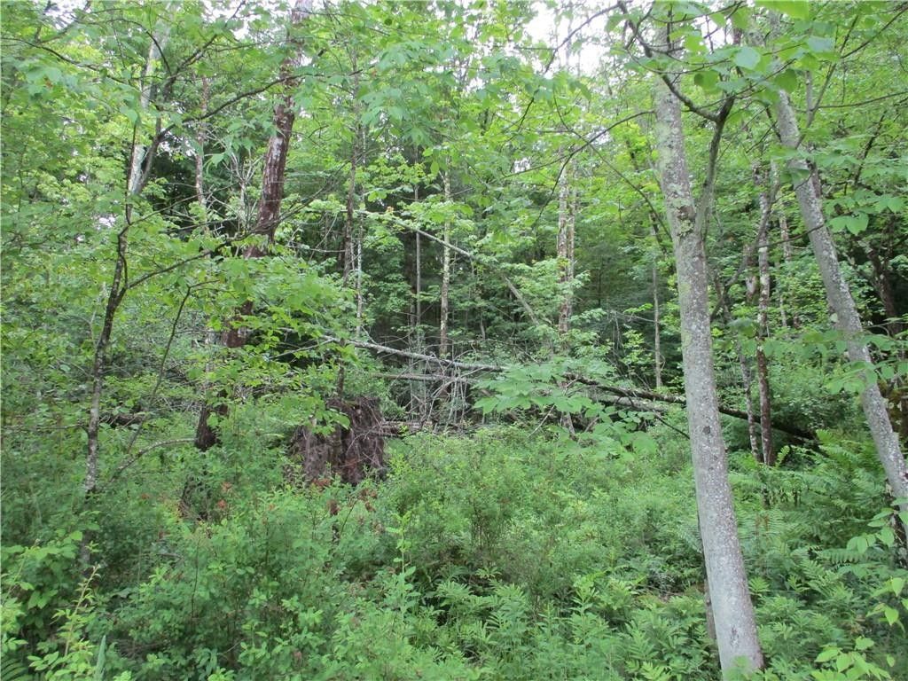 Smithville, Chenango County, NY Farms and Ranches for sale Property ID