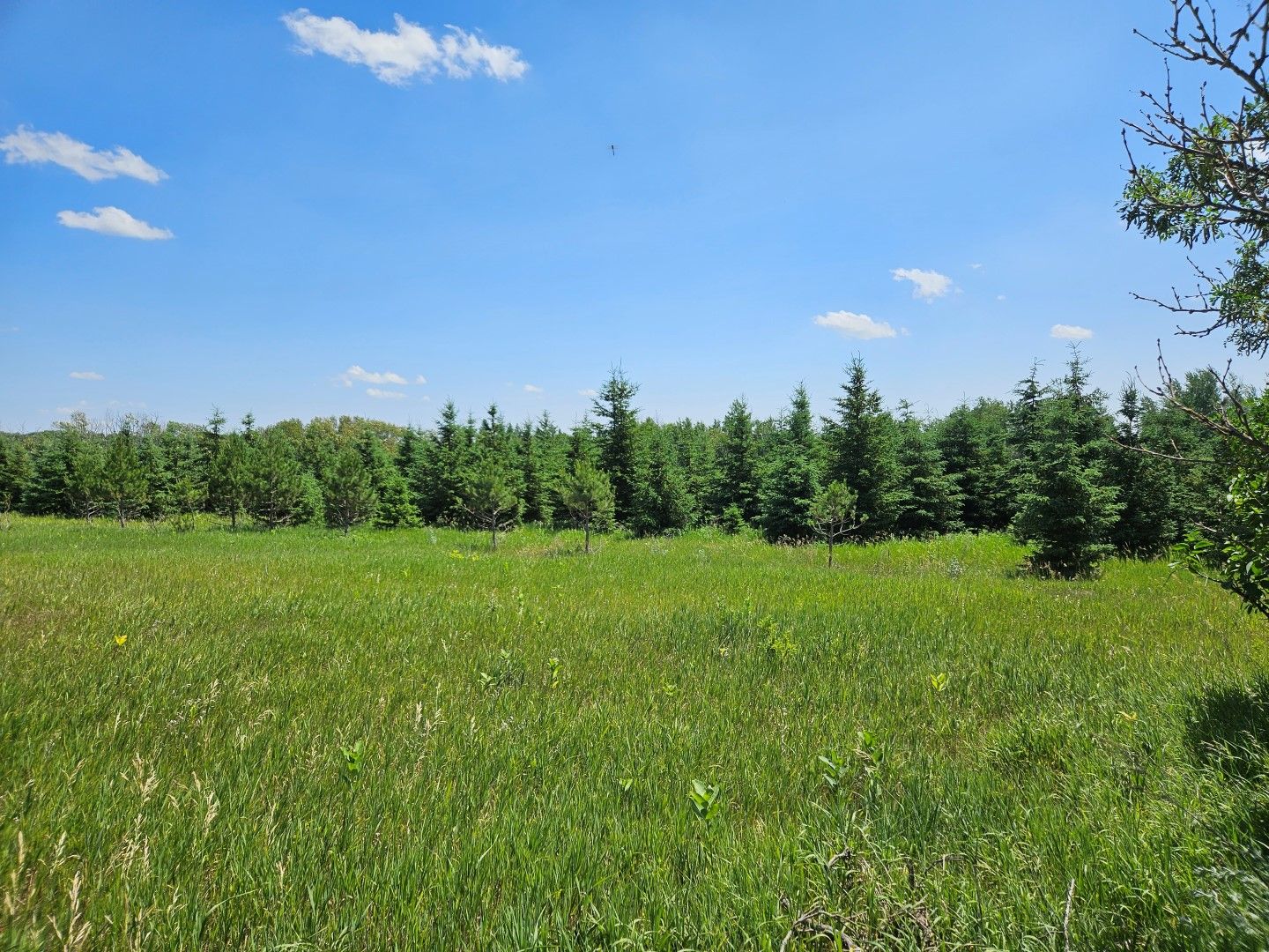 Parkers Prairie, Otter Tail County, MN Undeveloped Land for sale