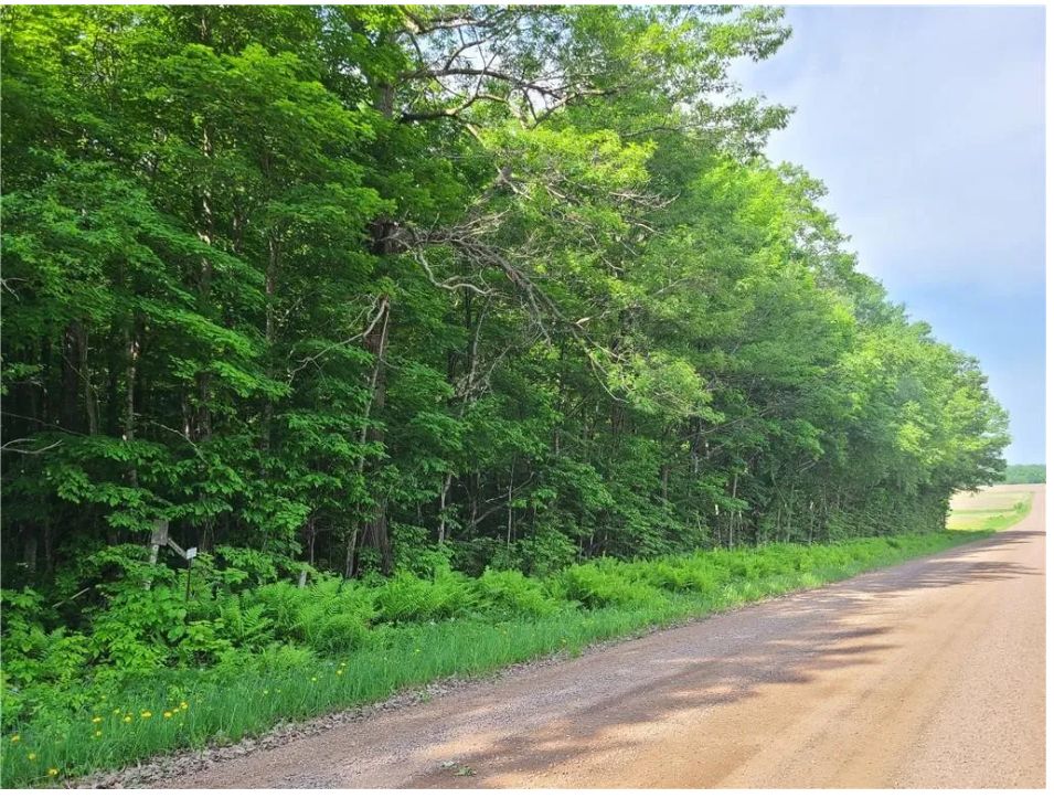 Canton, Barron County, WI Recreational Property, Undeveloped Land for
