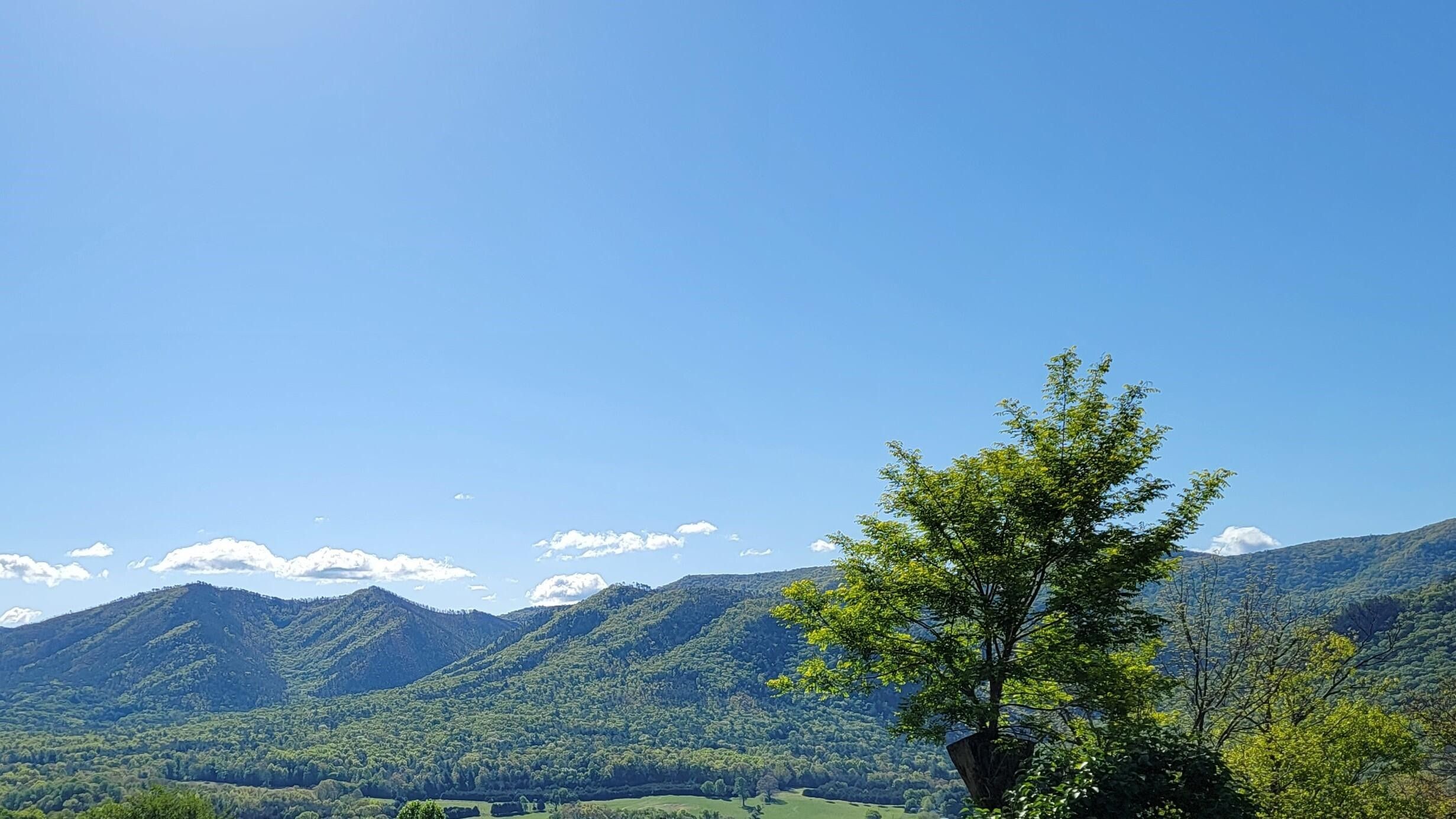 Raphine, Rockbridge County, VA Farms and Ranches, Homesites for sale