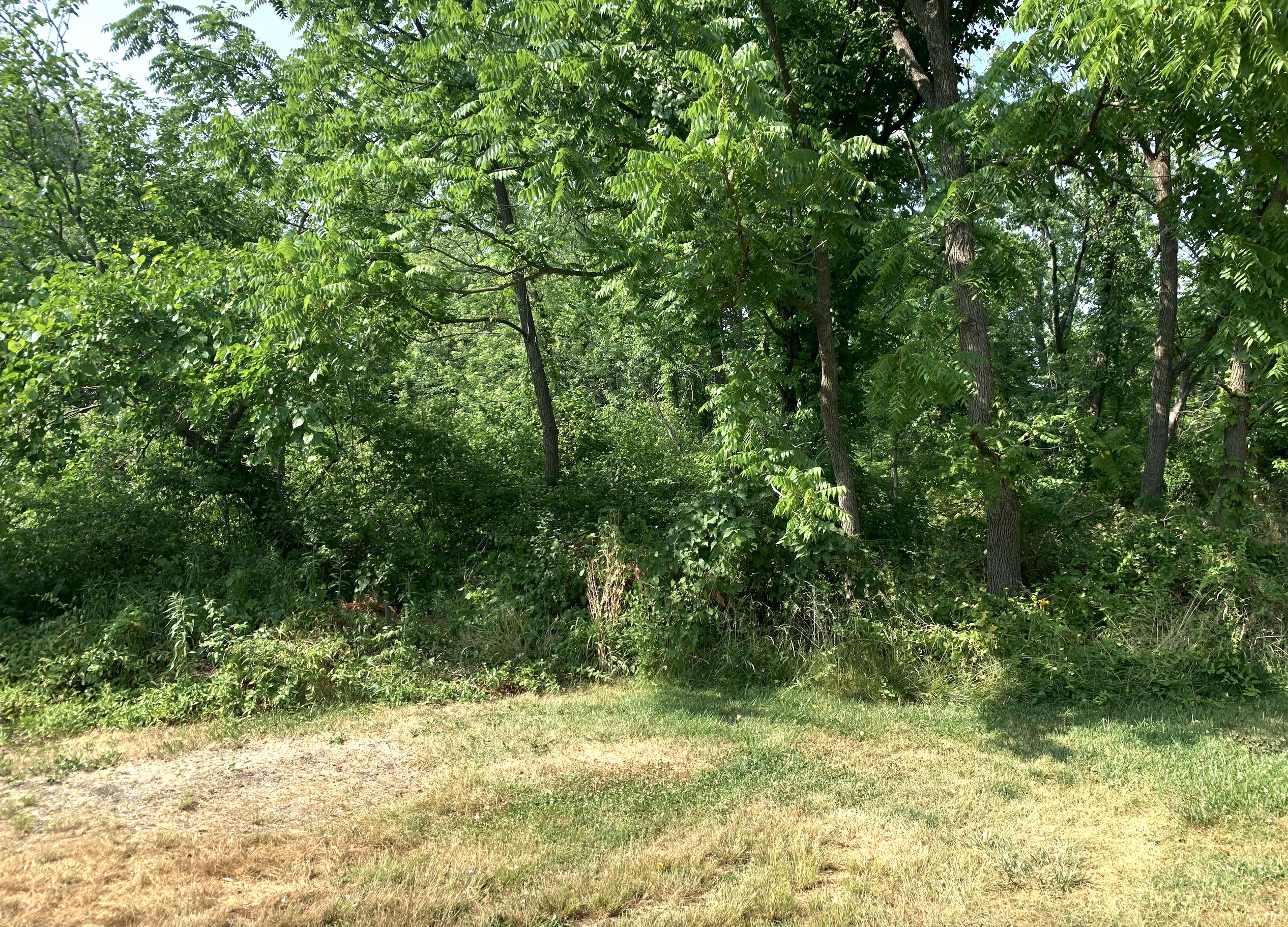 Hampstead, Carroll County, MD Recreational Property, Undeveloped Land, Homesites for sale