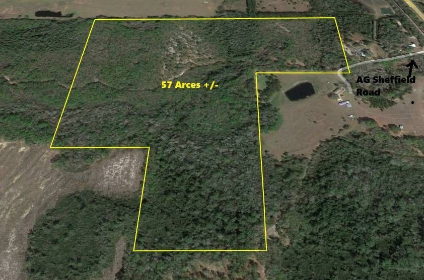 Perry, Taylor County, FL Undeveloped Land for sale Property ID