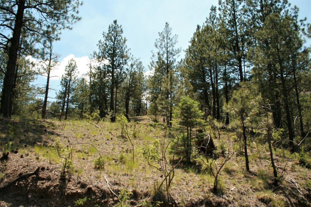 Jemez Springs, Sandoval County, NM Undeveloped Land, Homesites for sale