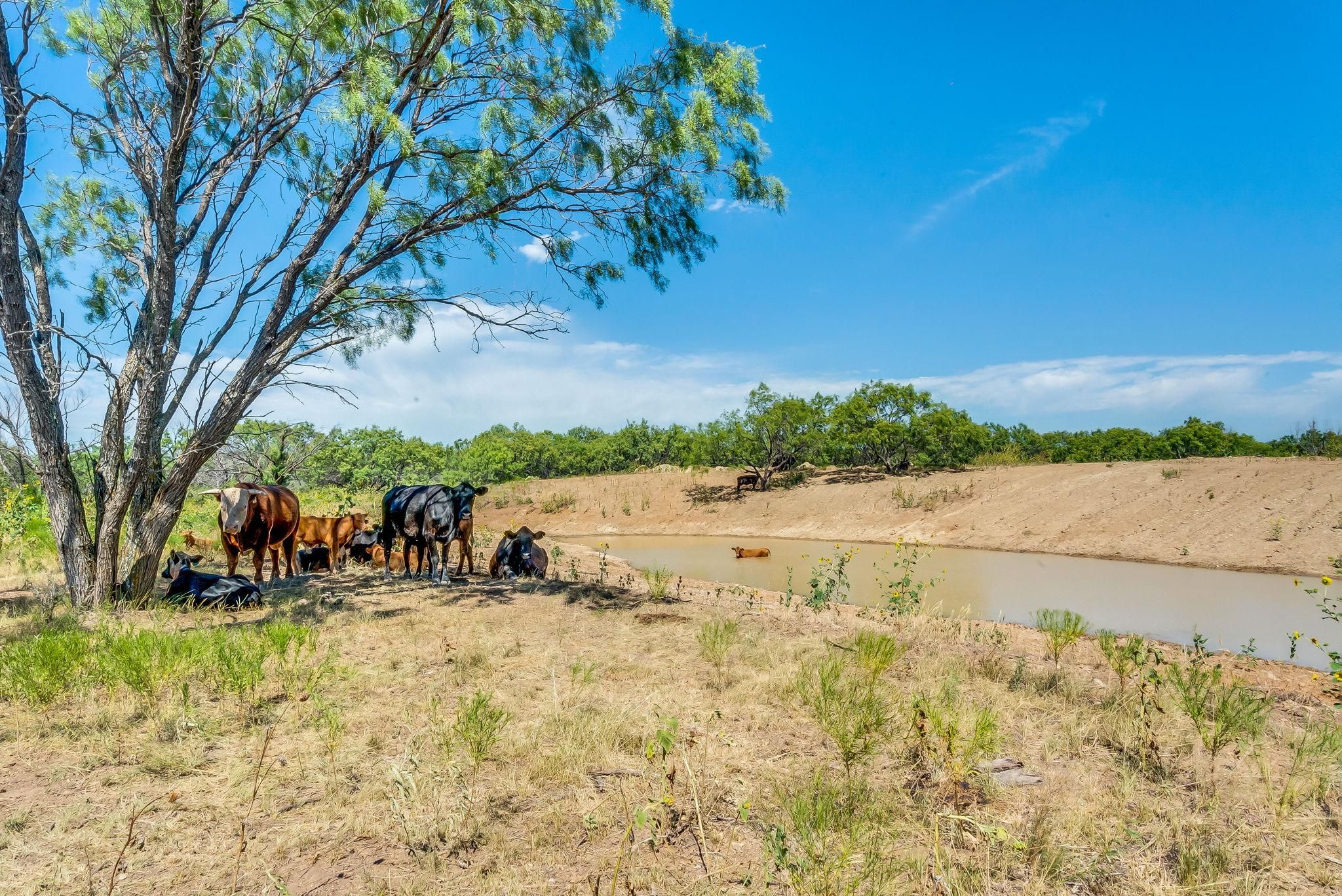 Breckenridge, Stephens County, TX Farms and Ranches, Recreational