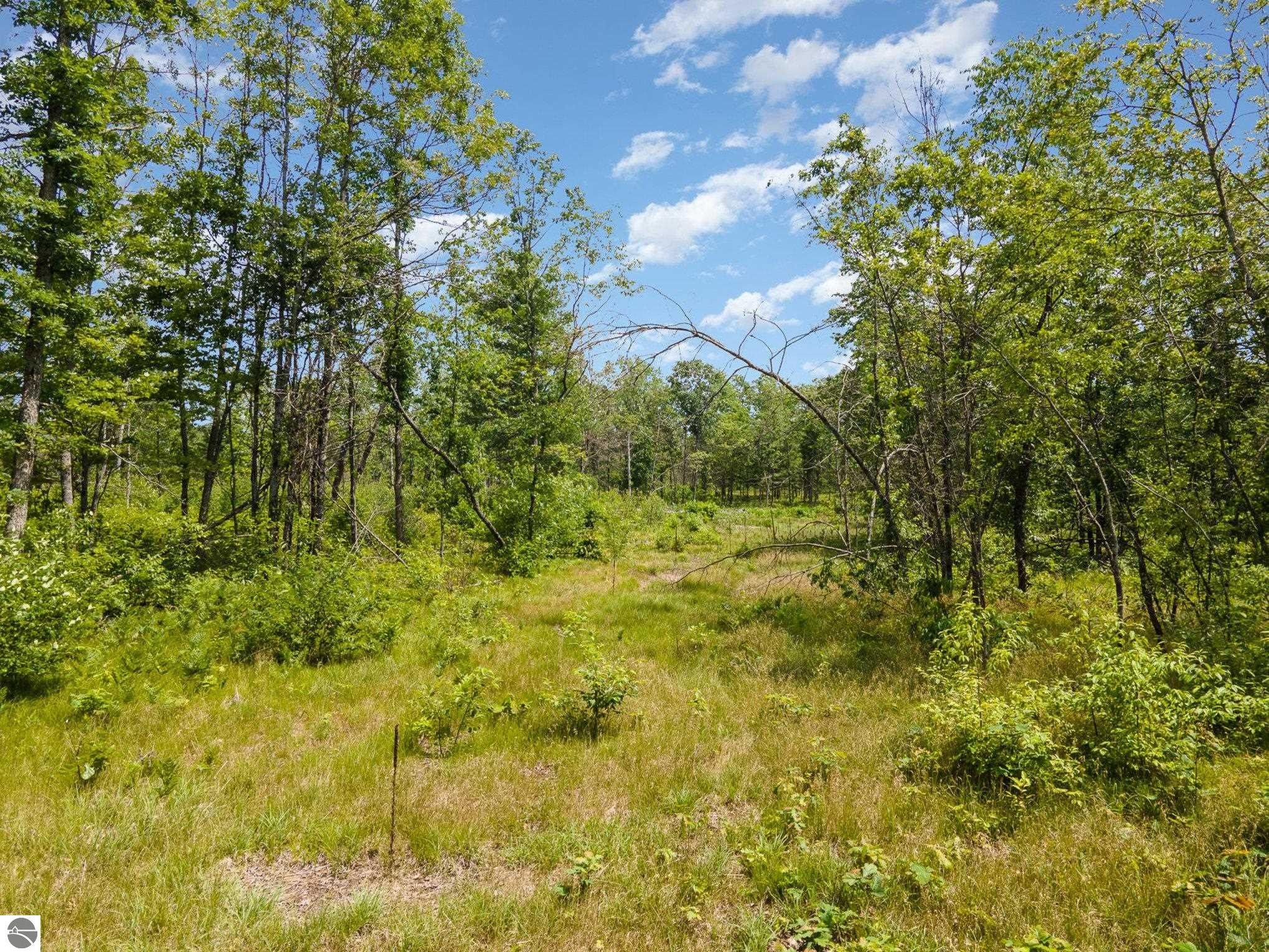 Bitely, Newaygo County, MI Undeveloped Land for sale Property ID