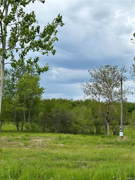 Sandy Creek, Oswego County, NY Undeveloped Land for sale Property ID