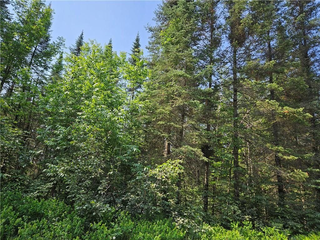 Radisson, Sawyer County, WI Undeveloped Land for sale Property ID