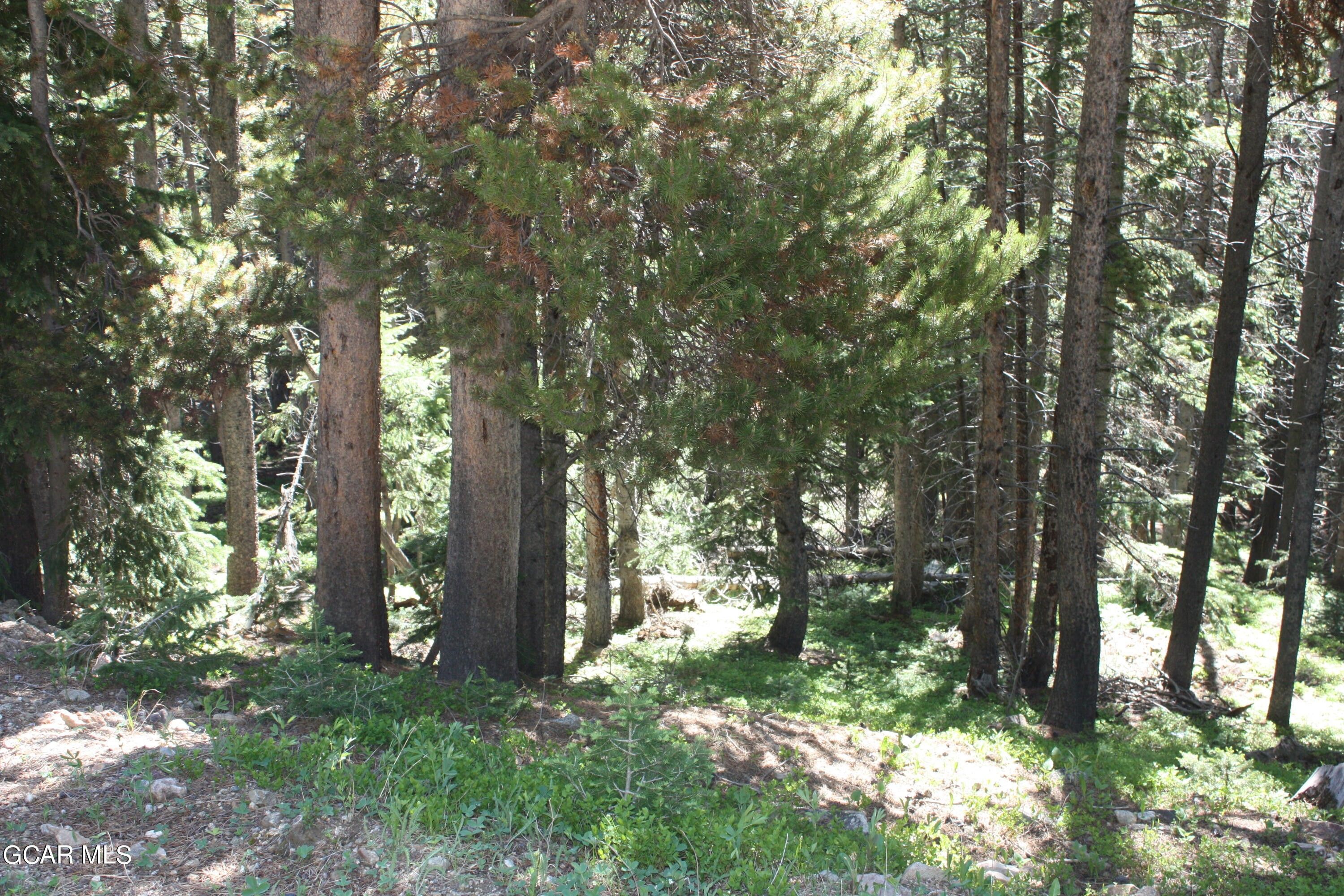Idaho Springs, Clear Creek County, CO Undeveloped Land, Homesites for