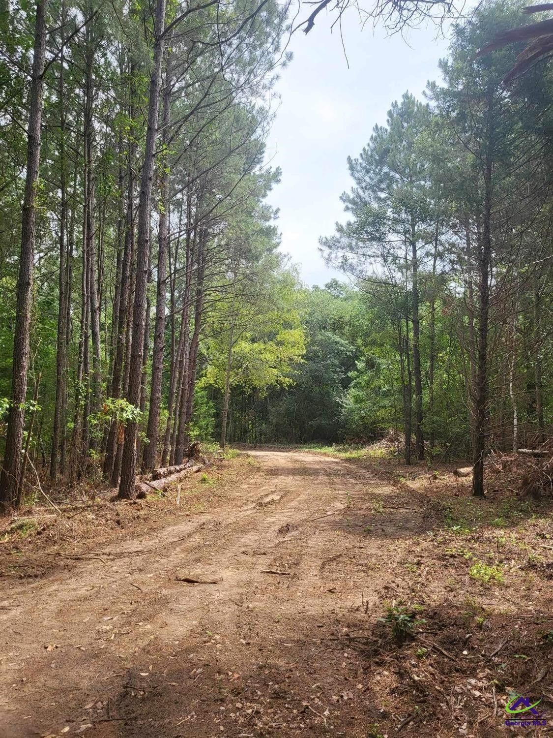 Elko, Houston County, GA Farms and Ranches for sale Property ID