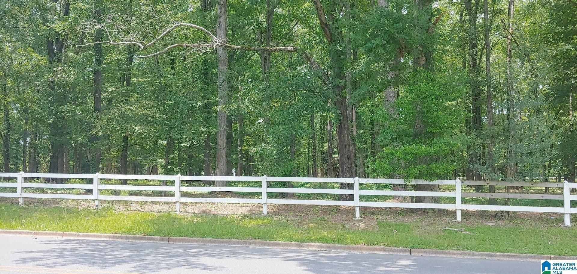 Sylacauga, Talladega County, AL Undeveloped Land for sale Property ID