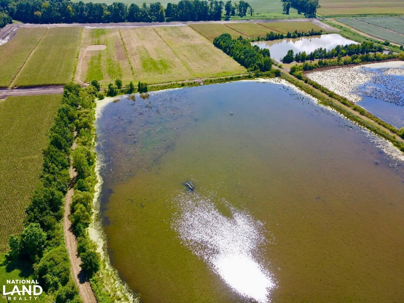 Pantego, Beaufort County, NC Farms and Ranches, Recreational Property
