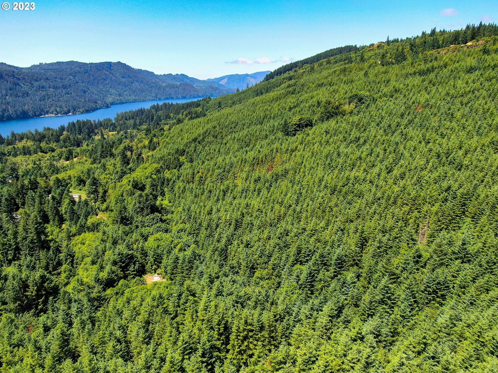 Ariel, Cowlitz County, WA Undeveloped Land for sale Property ID