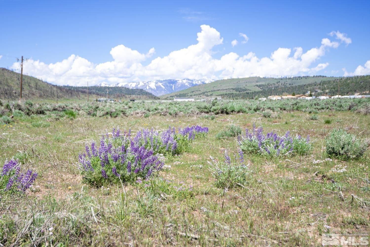 Gardnerville, Douglas County, NV Undeveloped Land, Homesites for sale