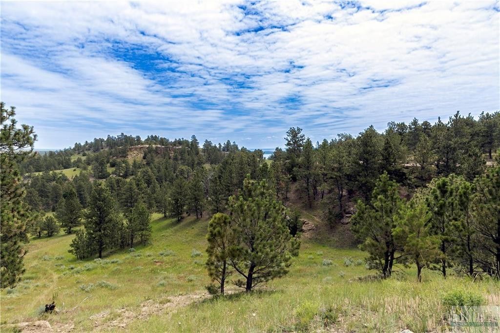 Shawmut, Wheatland County, MT Undeveloped Land for sale Property ID