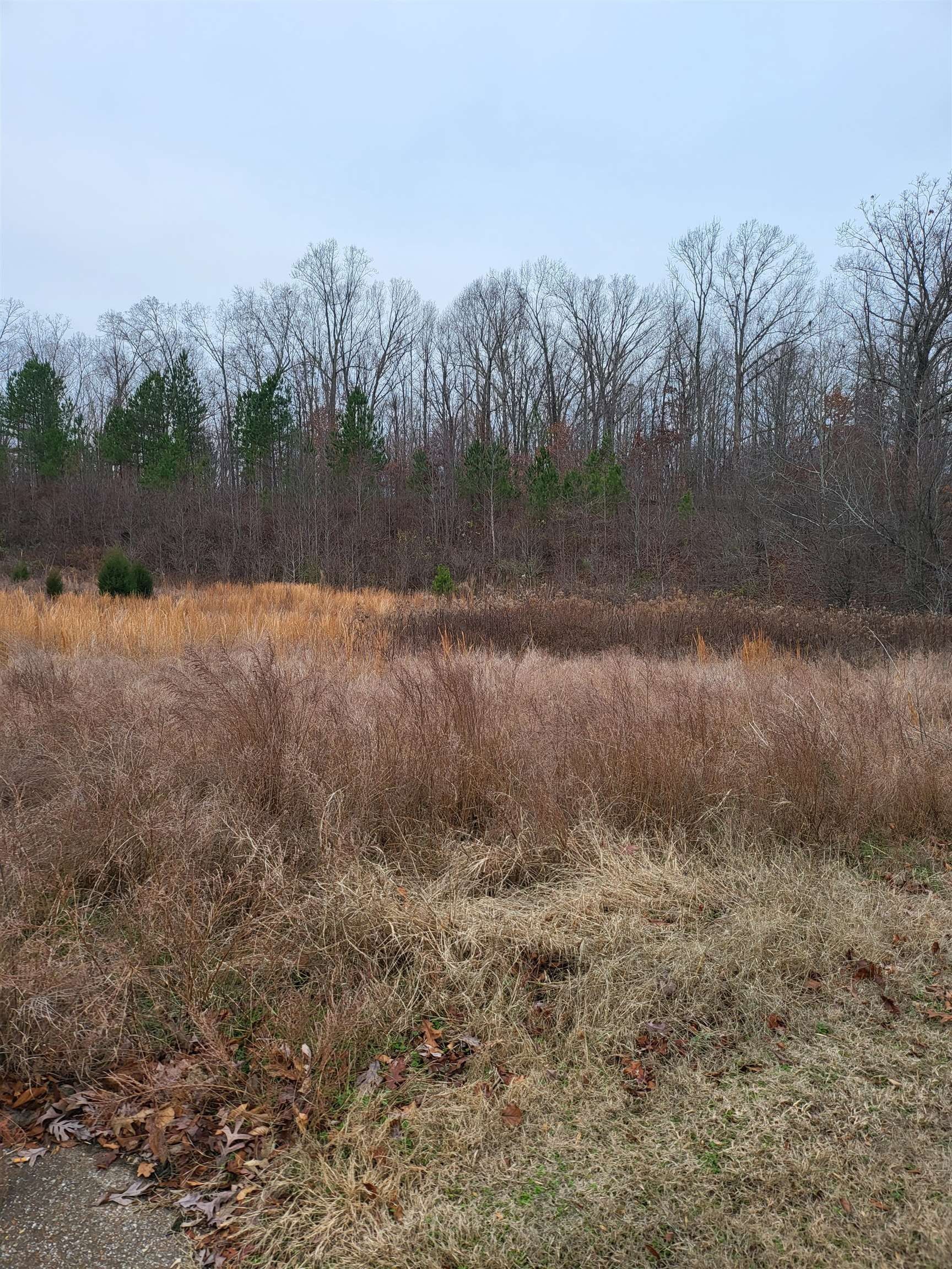 Jackson, Madison County, TN Homesites for sale Property ID 416876069